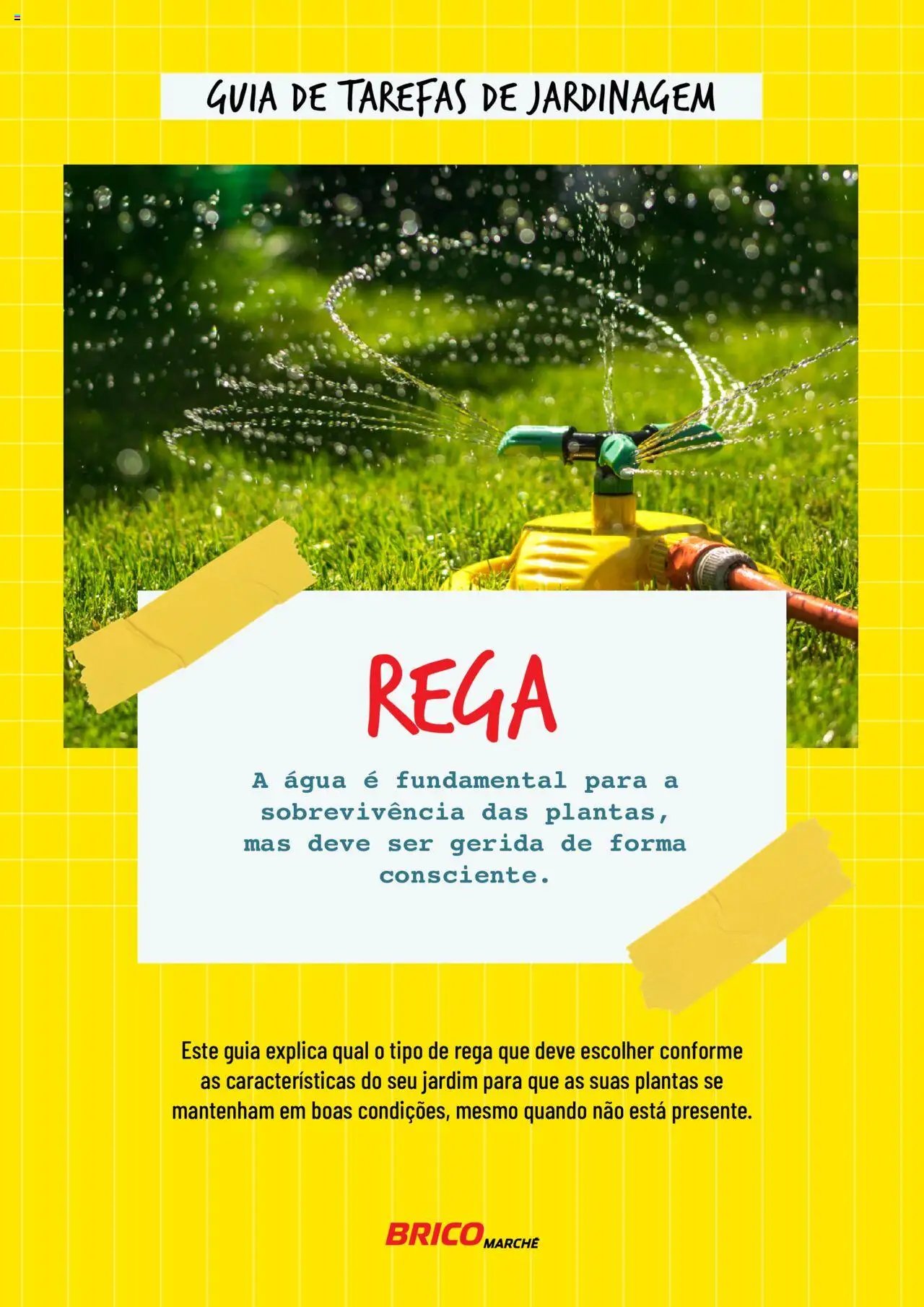 BricoMarché folheto a partir de 17/01/2024 Rega (2024-01-17) | 1