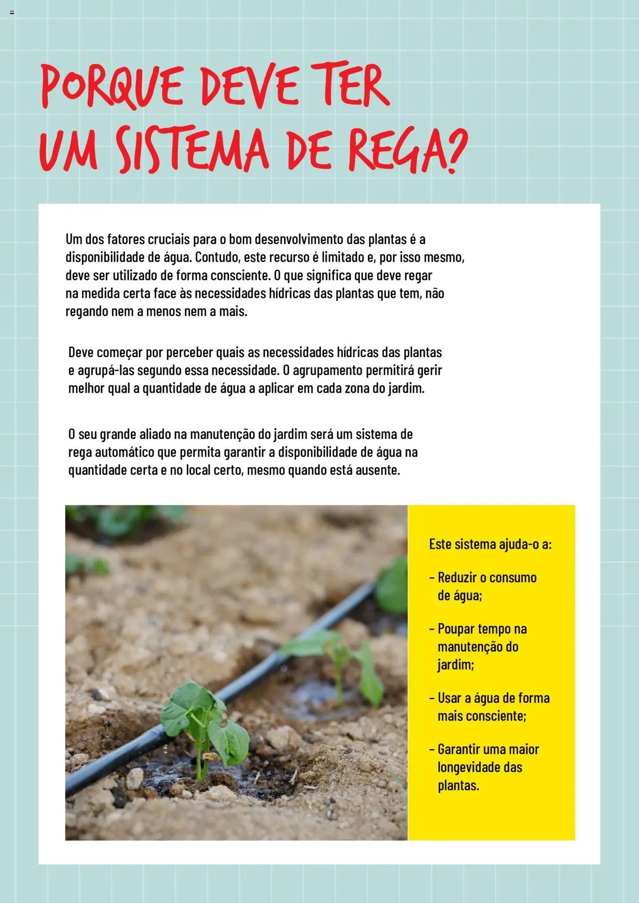 BricoMarché folheto a partir de 17/01/2024 Rega (2024-01-17) | 2