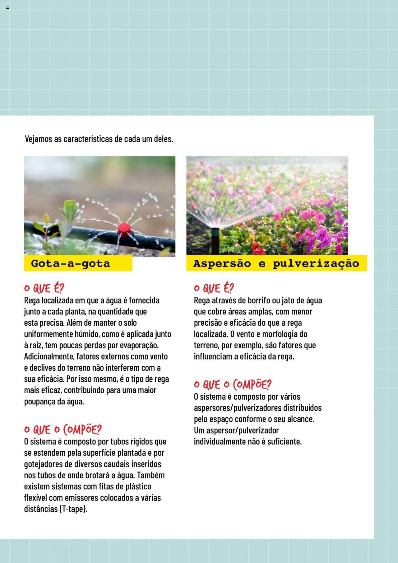 BricoMarché folheto a partir de 17/01/2024 Rega (2024-01-17) | 5