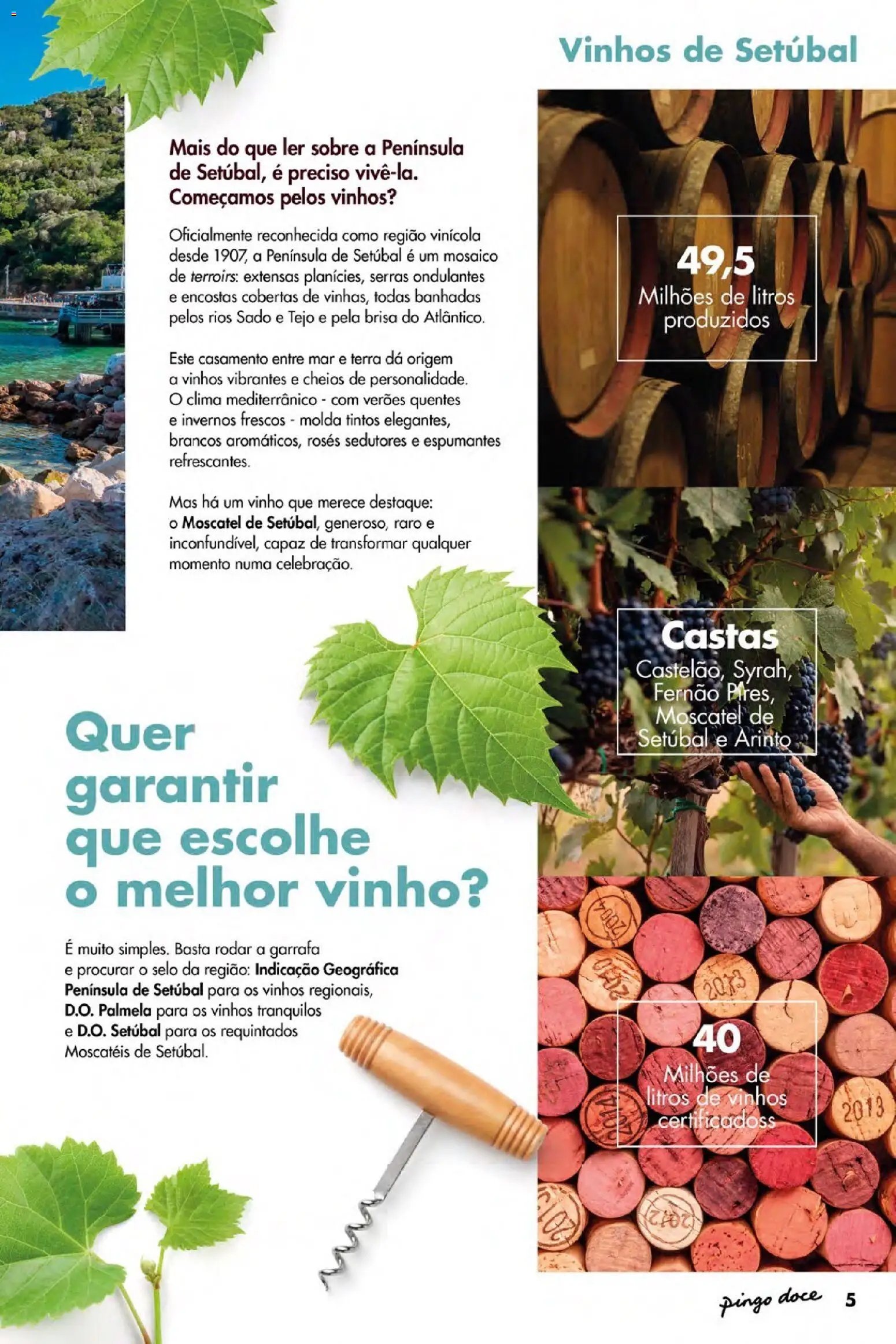 Pingo Doce folheto a partir de 07/05/2026 Pingo Doce Vinhos de Setúbal Açores (2026-05-07 - 2026-05-27) | 5