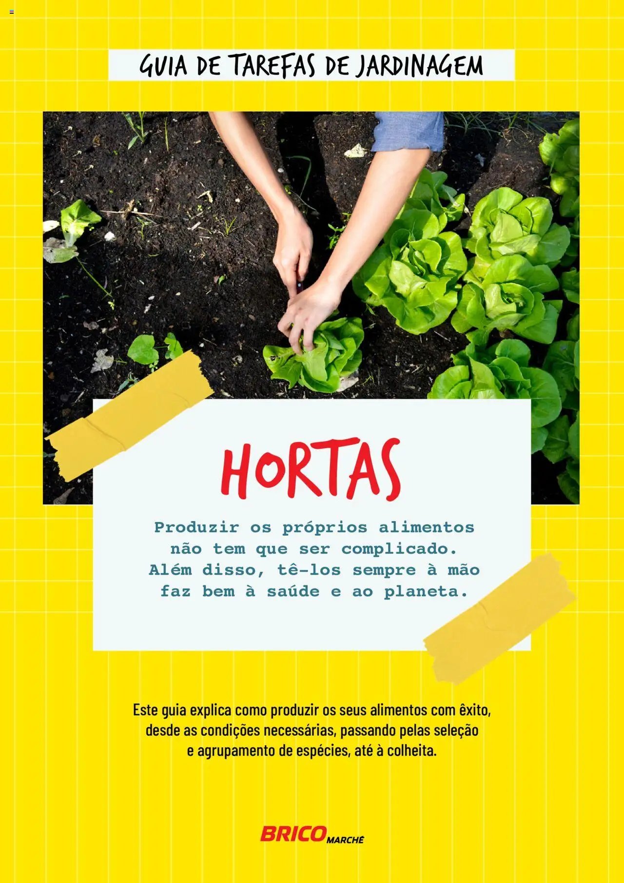 BricoMarché folheto a partir de 17/01/2024 Hortas (2024-01-17) | 1