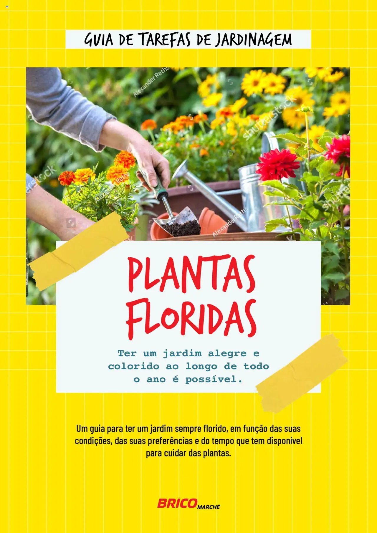 BricoMarché folheto a partir de 17/01/2024 Plantas Floridas (2024-01-17) | 1