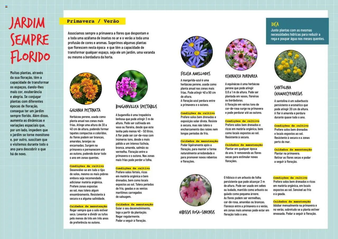 BricoMarché folheto a partir de 17/01/2024 Plantas Floridas (2024-01-17) | 2