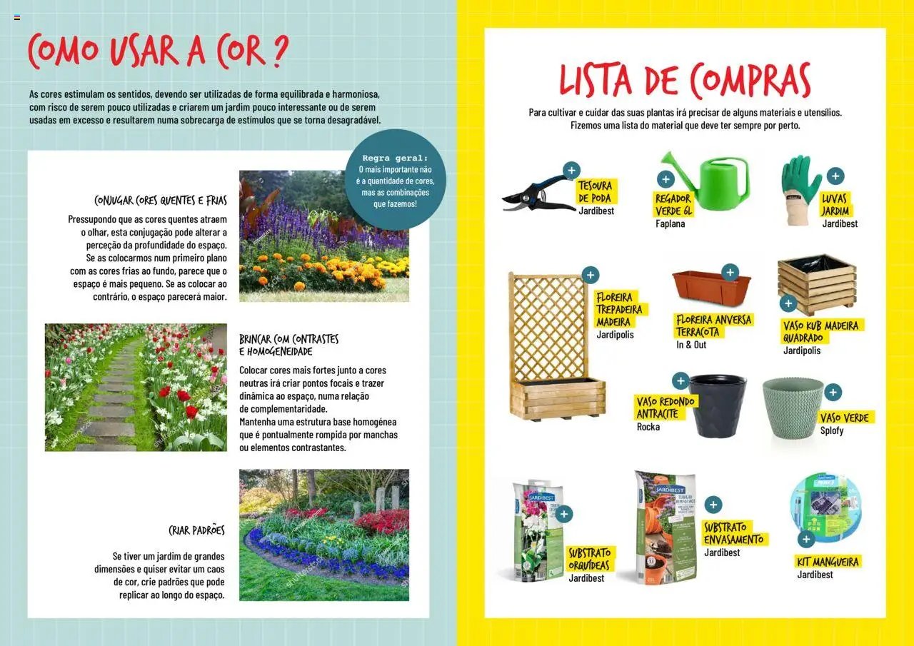 BricoMarché folheto a partir de 17/01/2024 Plantas Floridas (2024-01-17) | 4