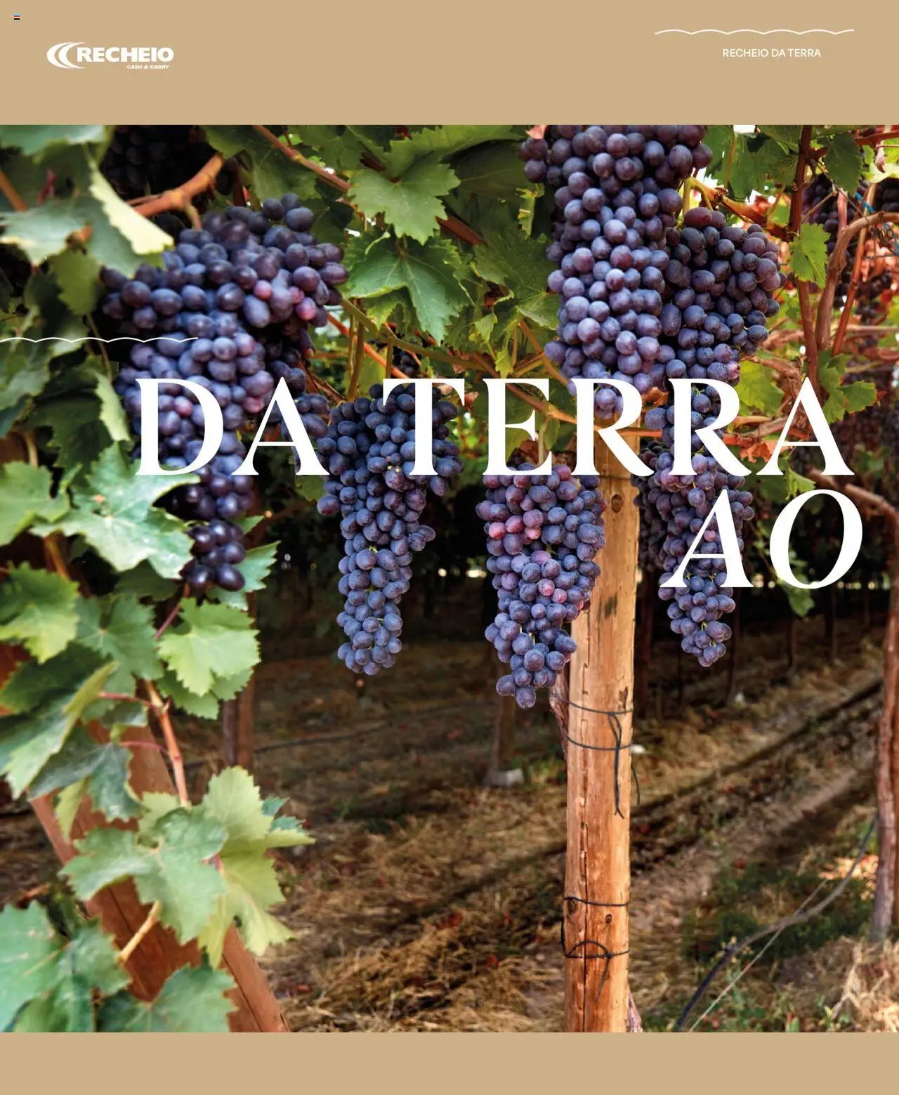 Recheio folheto a partir de 25/09/2025 Recheio da Terra (2025-09-25) | 6