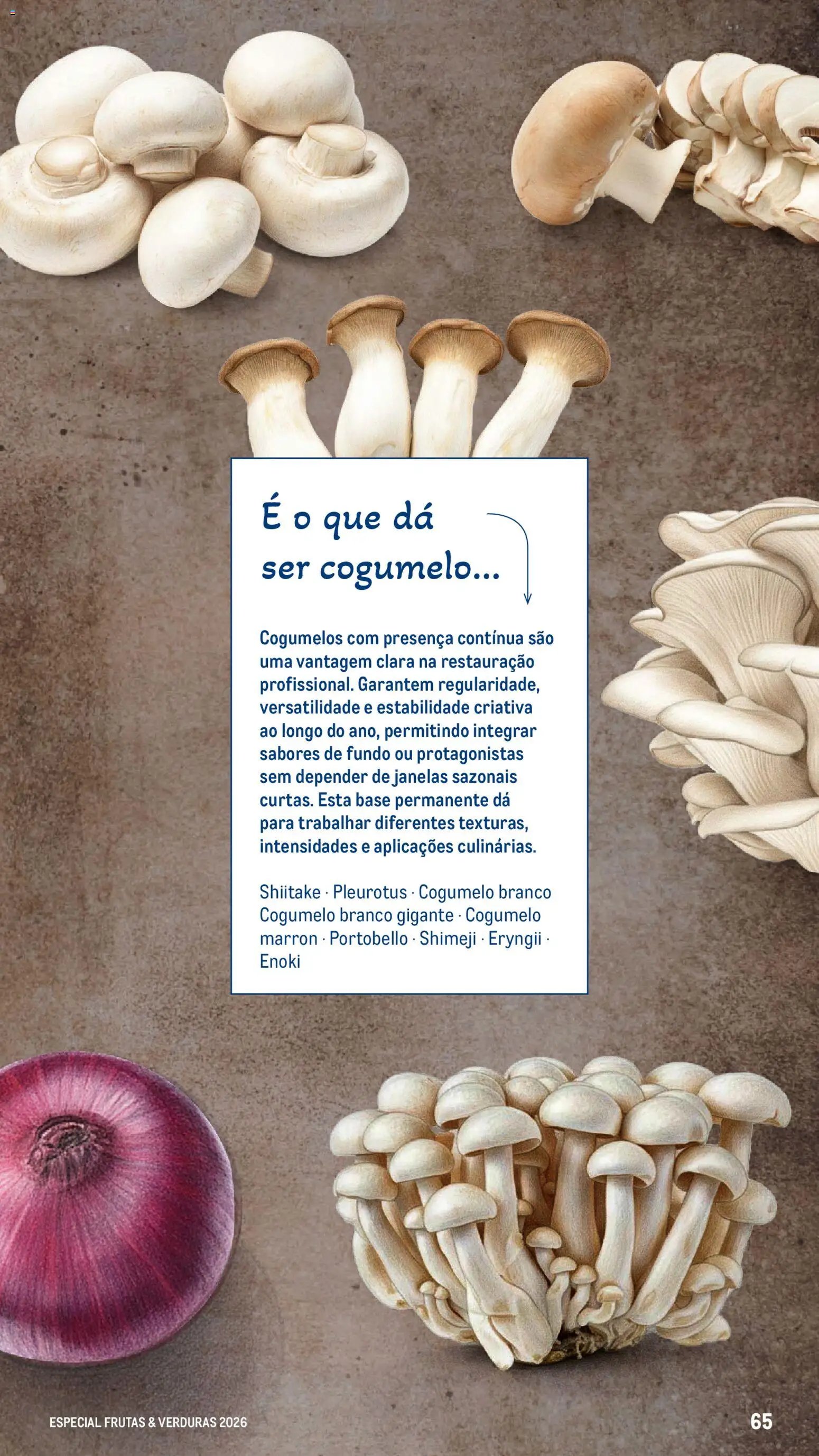 Makro folheto a partir de 06/03/2026 Makro Especial Frutas e Verduras 2026 (2026-03-06 - 2026-12-31) | 65