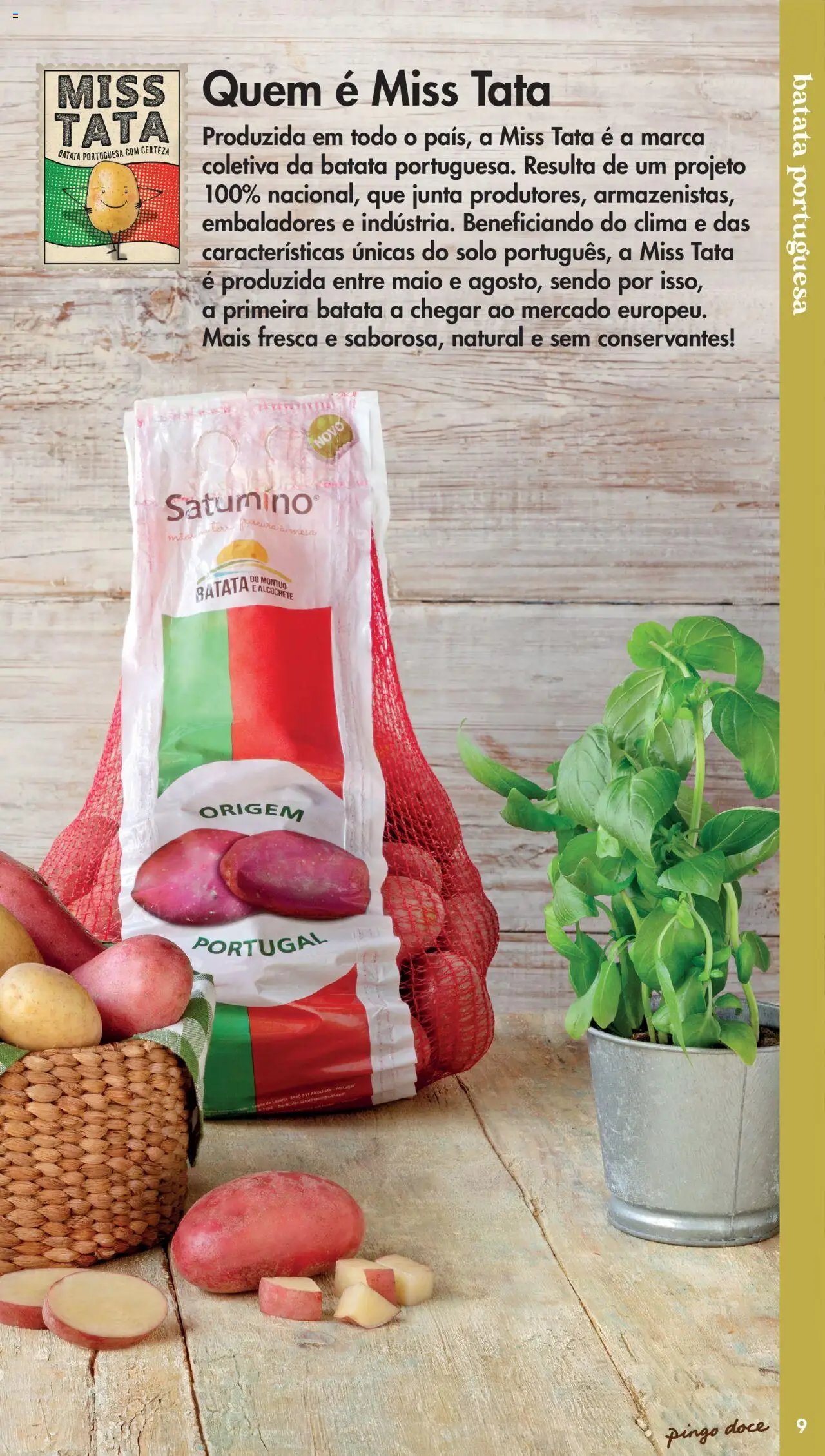 Pingo Doce folheto a partir de 20/05/2025 Catálogo Fruta e Legumes (2025-05-20) | 9