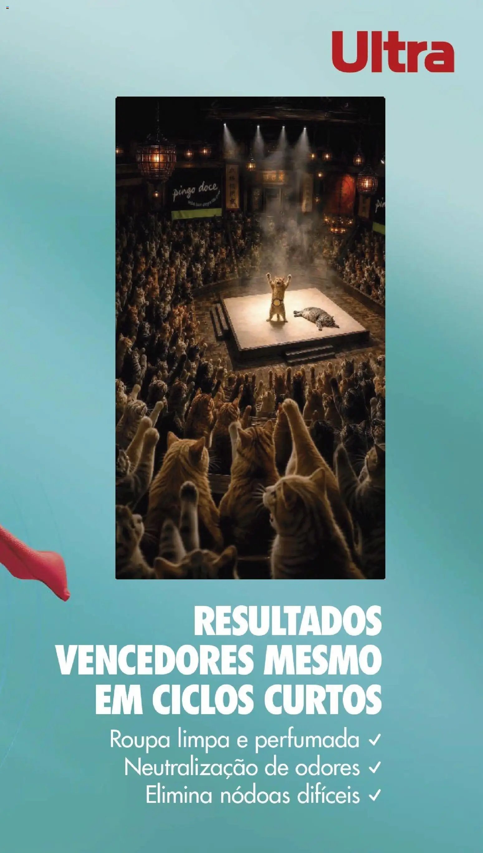Pingo Doce folheto a partir de 26/05/2026 Pingo Doce Folheto (2026-05-26 - 2026-06-01) | 55