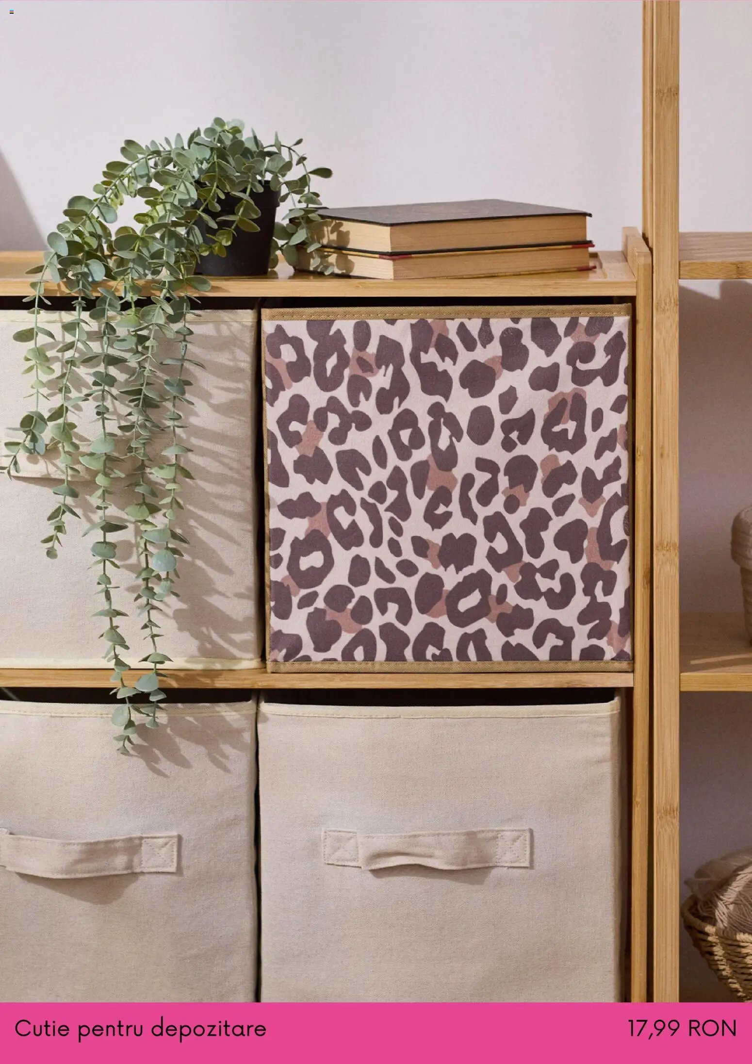 Sinsay catalog din 01.12.2025 Cyber Monday