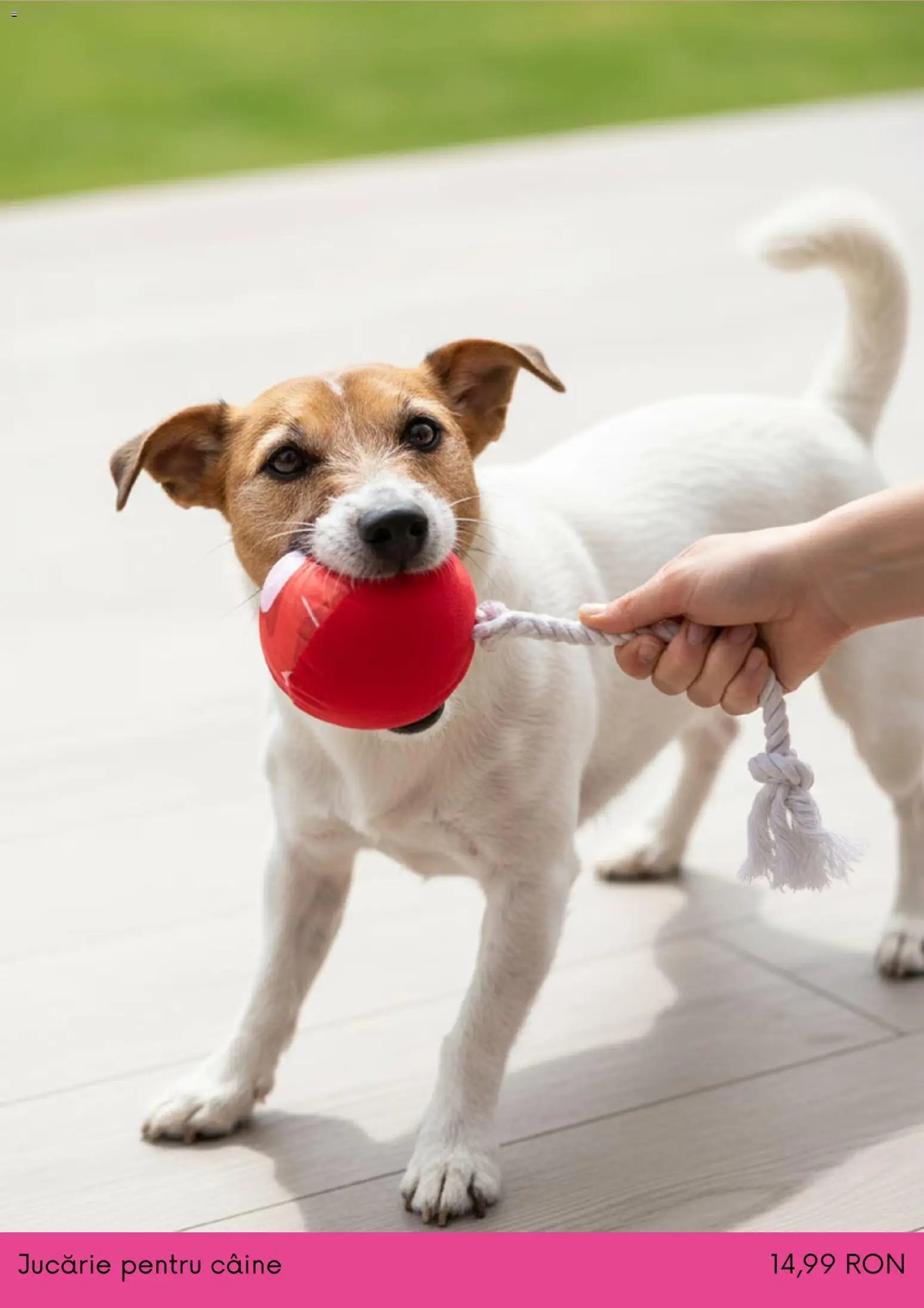 Sinsay catalog din 01.12.2025 Cyber Monday