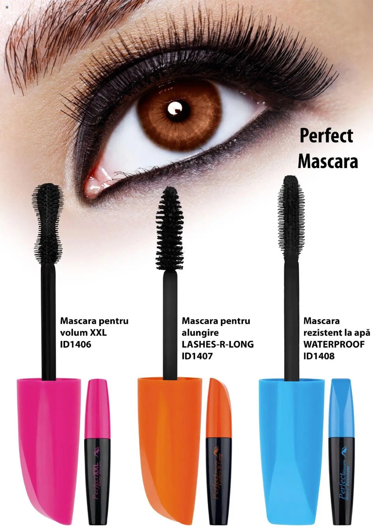 Lady’s catalog din 19.12.2019 Catalog - Brosura