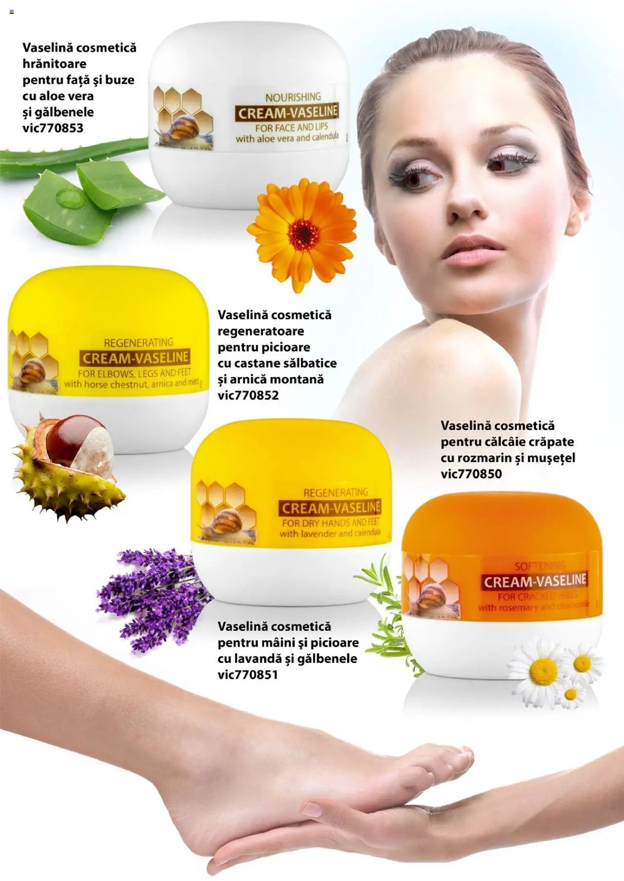 Lady’s catalog din 19.12.2019 Catalog - Brosura
