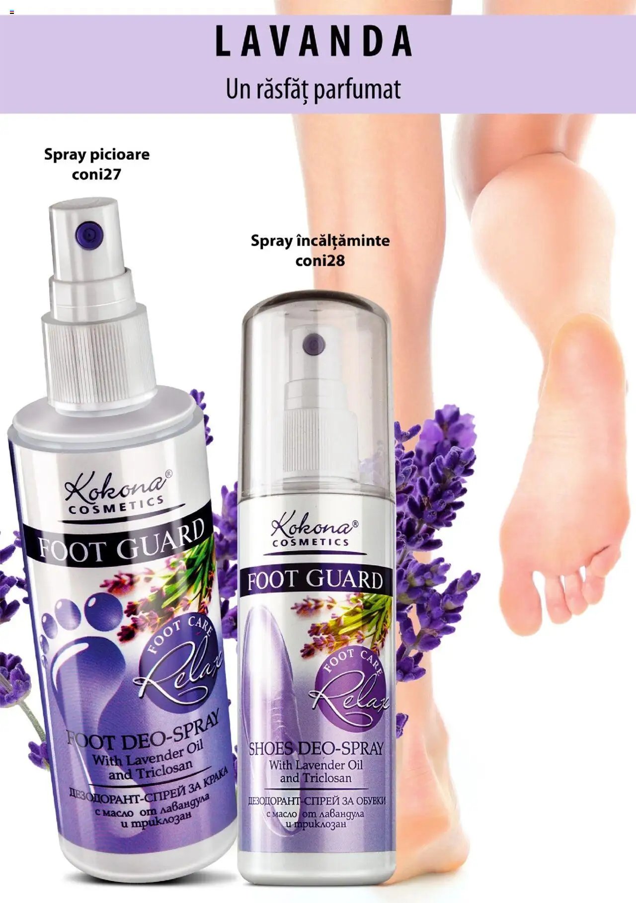 Lady’s catalog din 19.12.2019 Catalog - Brosura