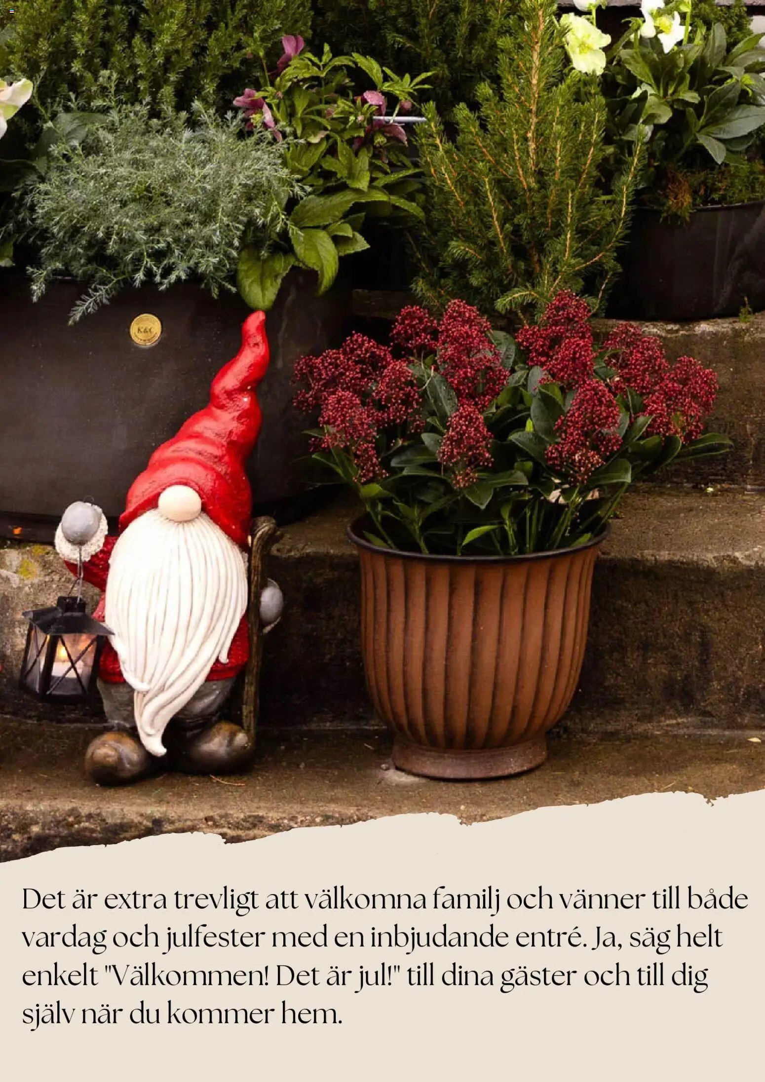 Plantagen Reklamblad från 27/11/2025 Black Friday