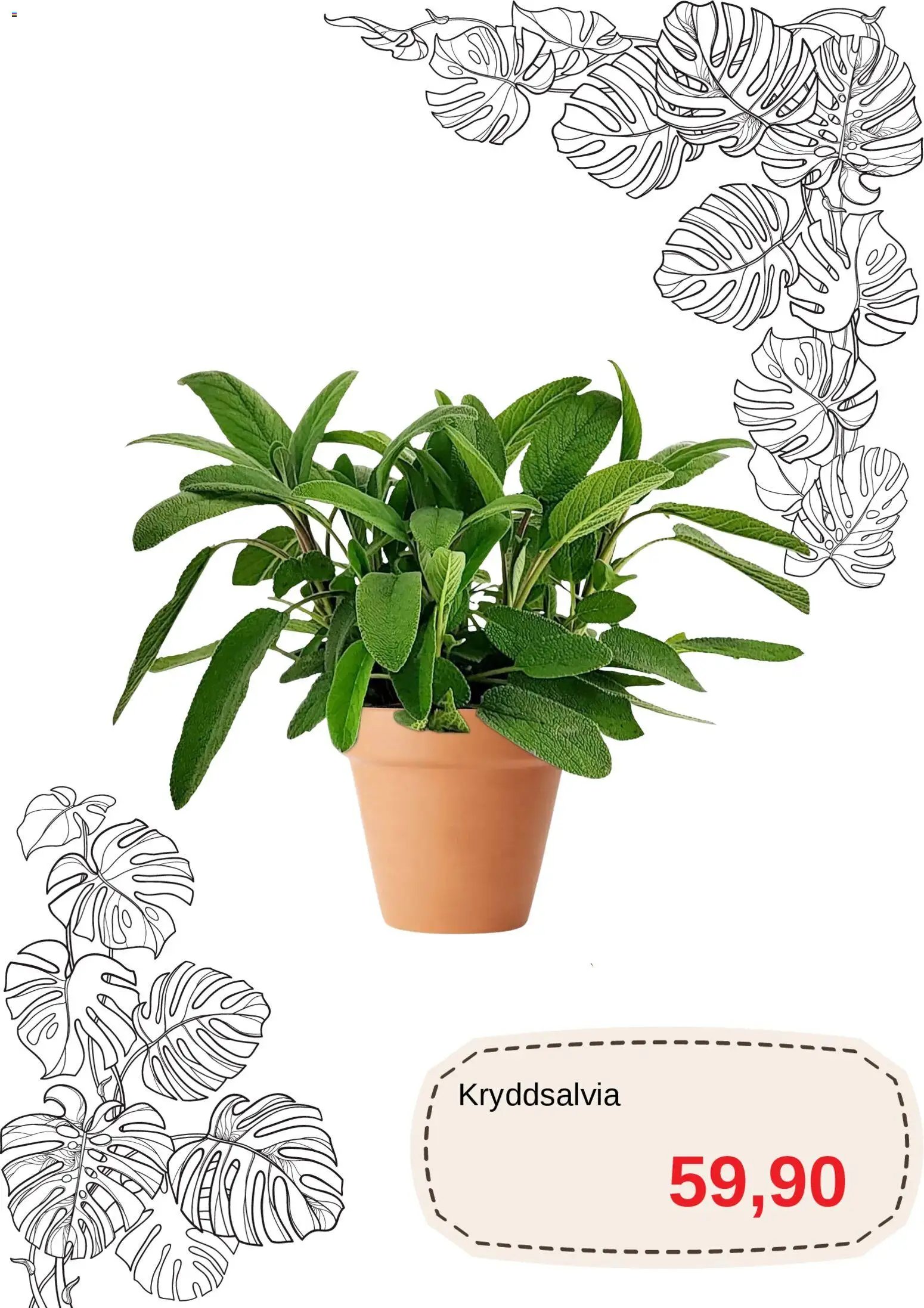 Blomsterlandet Reklamblad från 20/04/2026 Blomsterlandet erbjudanden