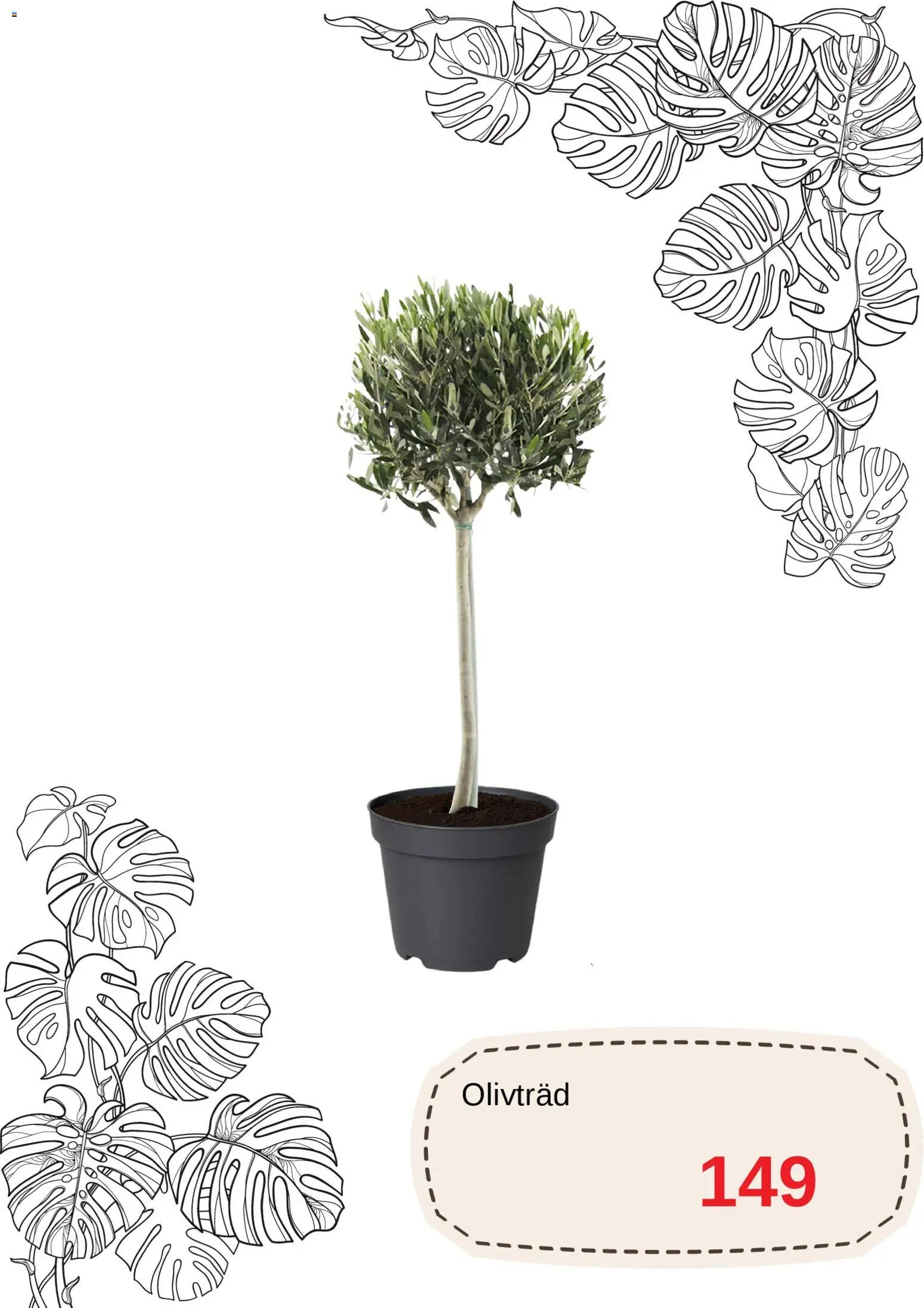 Blomsterlandet Reklamblad från 20/04/2026 Blomsterlandet erbjudanden