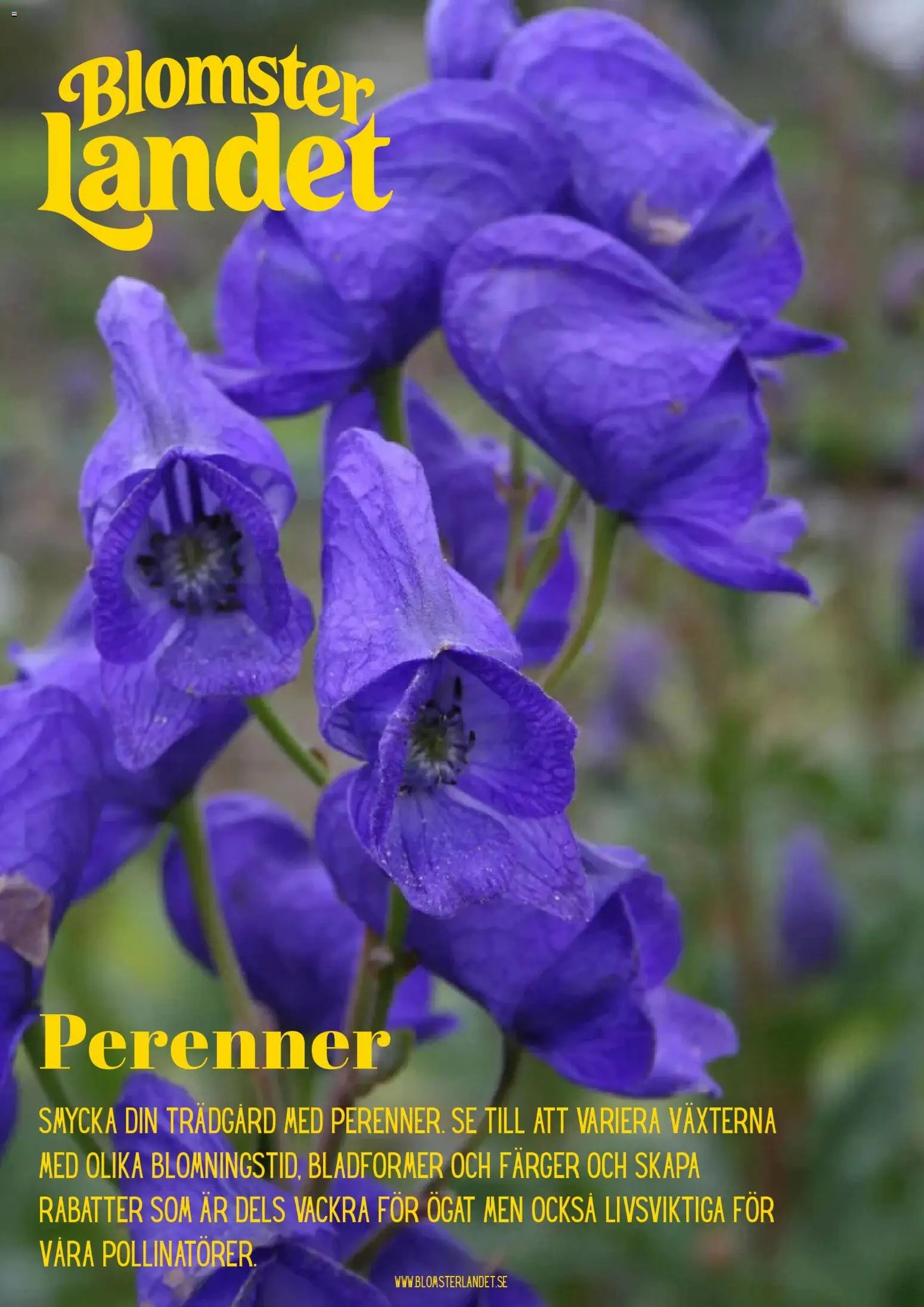 Blomsterlandet Reklamblad från 15/07/2026 Blomsterlandet erbjudanden
