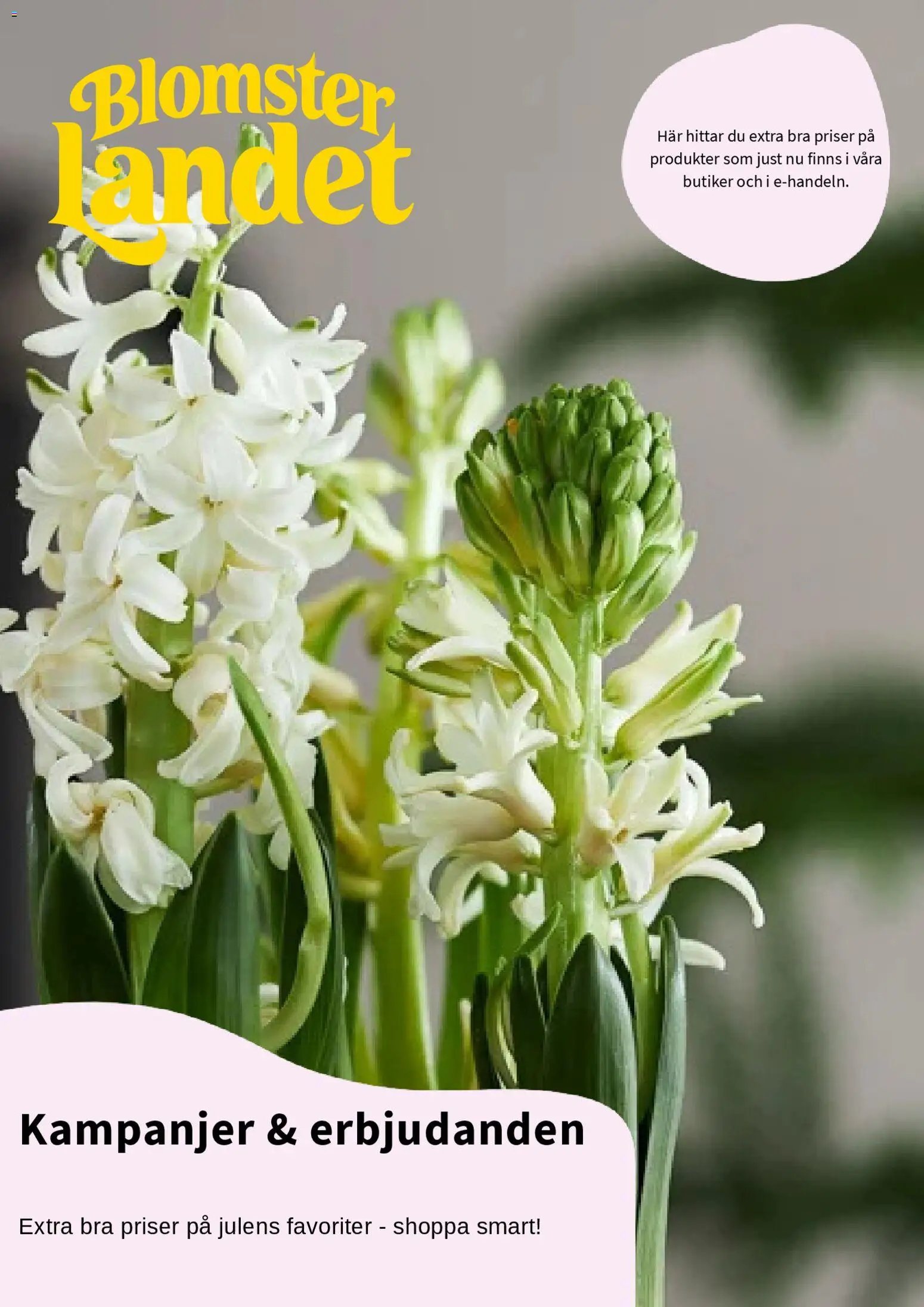 Blomsterlandet Reklamblad från 01/12/2025 Aktuella reklamblad Blomsterlandet