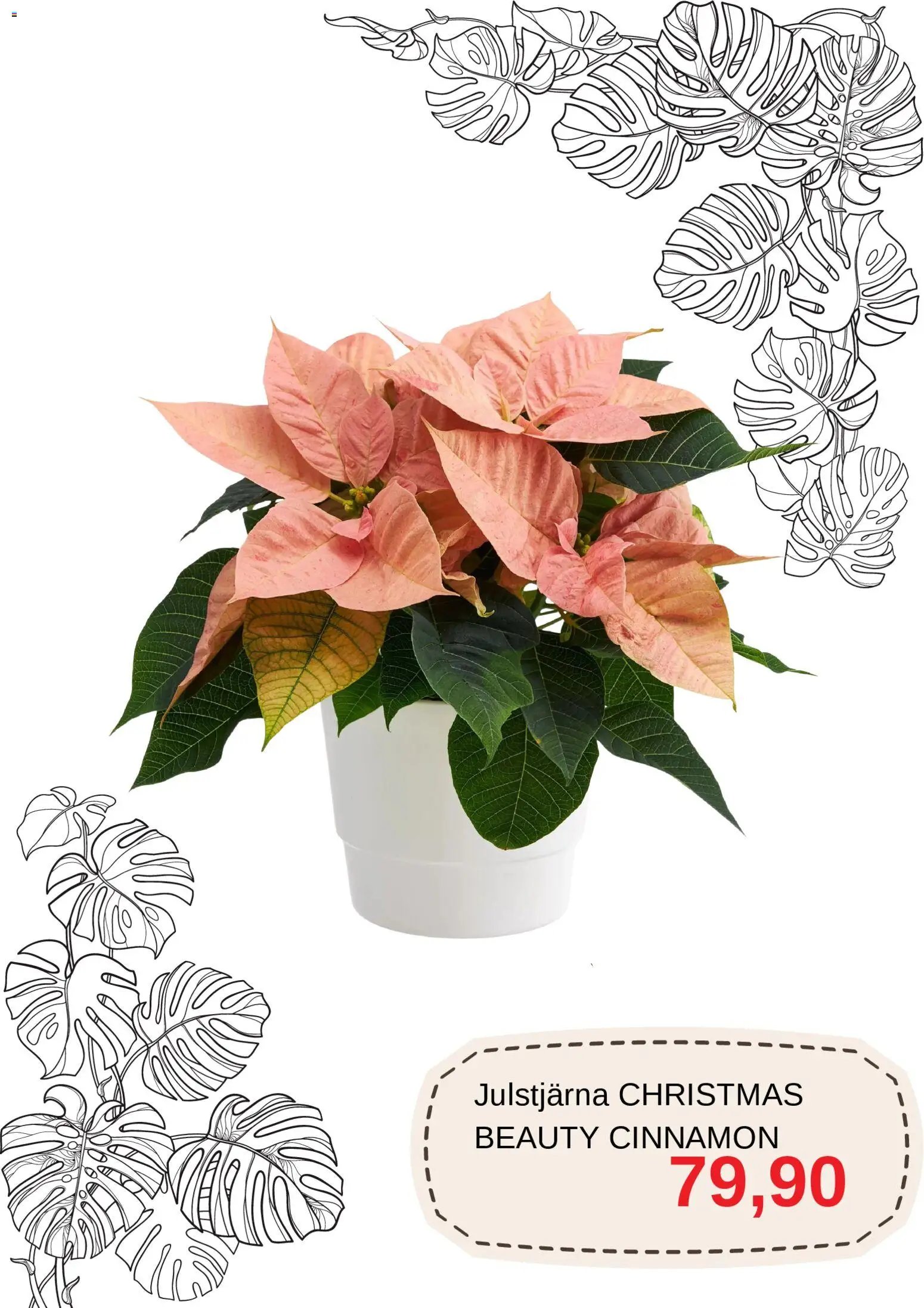 Blomsterlandet Reklamblad från 01/12/2025 Aktuella reklamblad Blomsterlandet