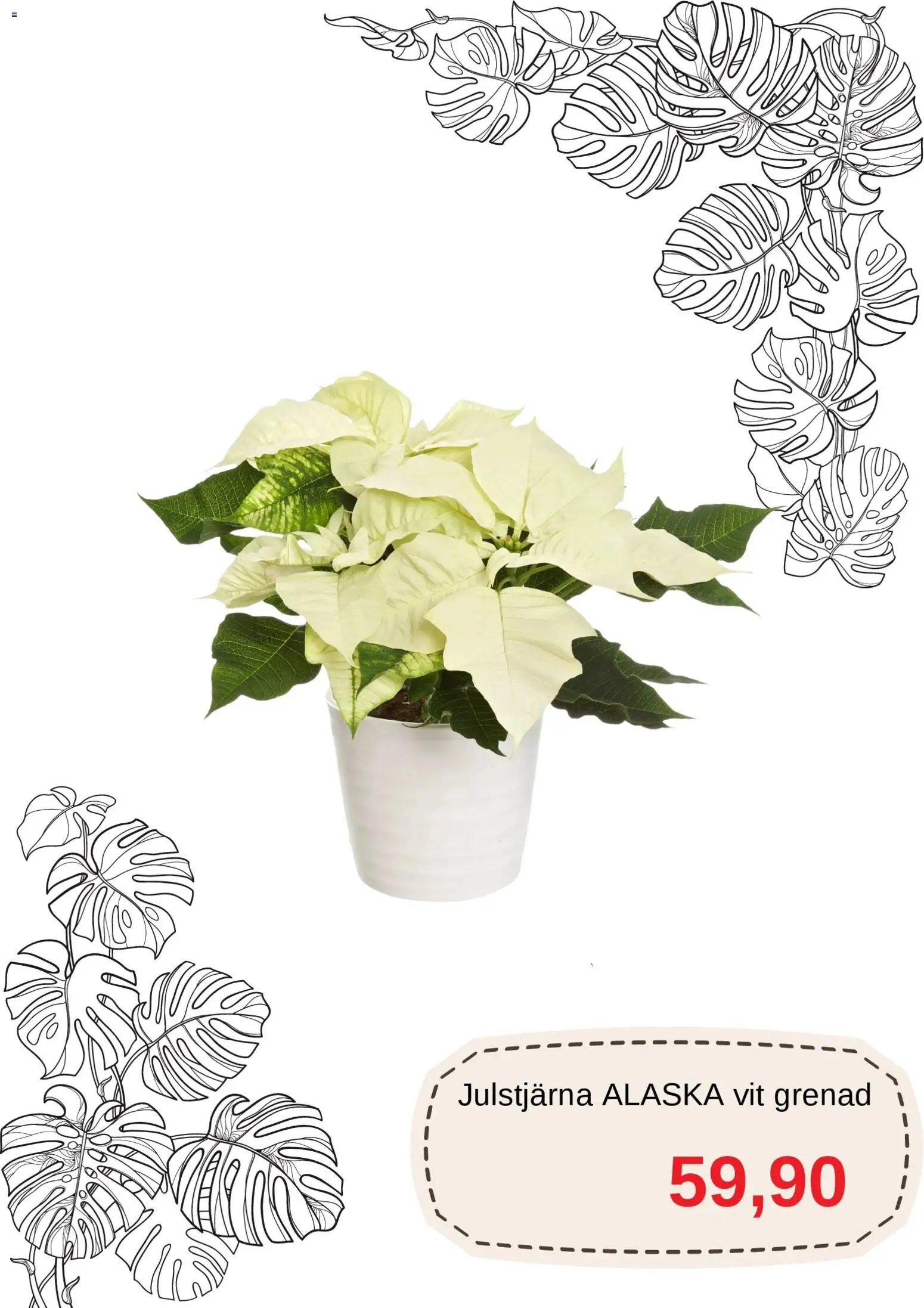 Blomsterlandet Reklamblad från 01/12/2025 Aktuella reklamblad Blomsterlandet