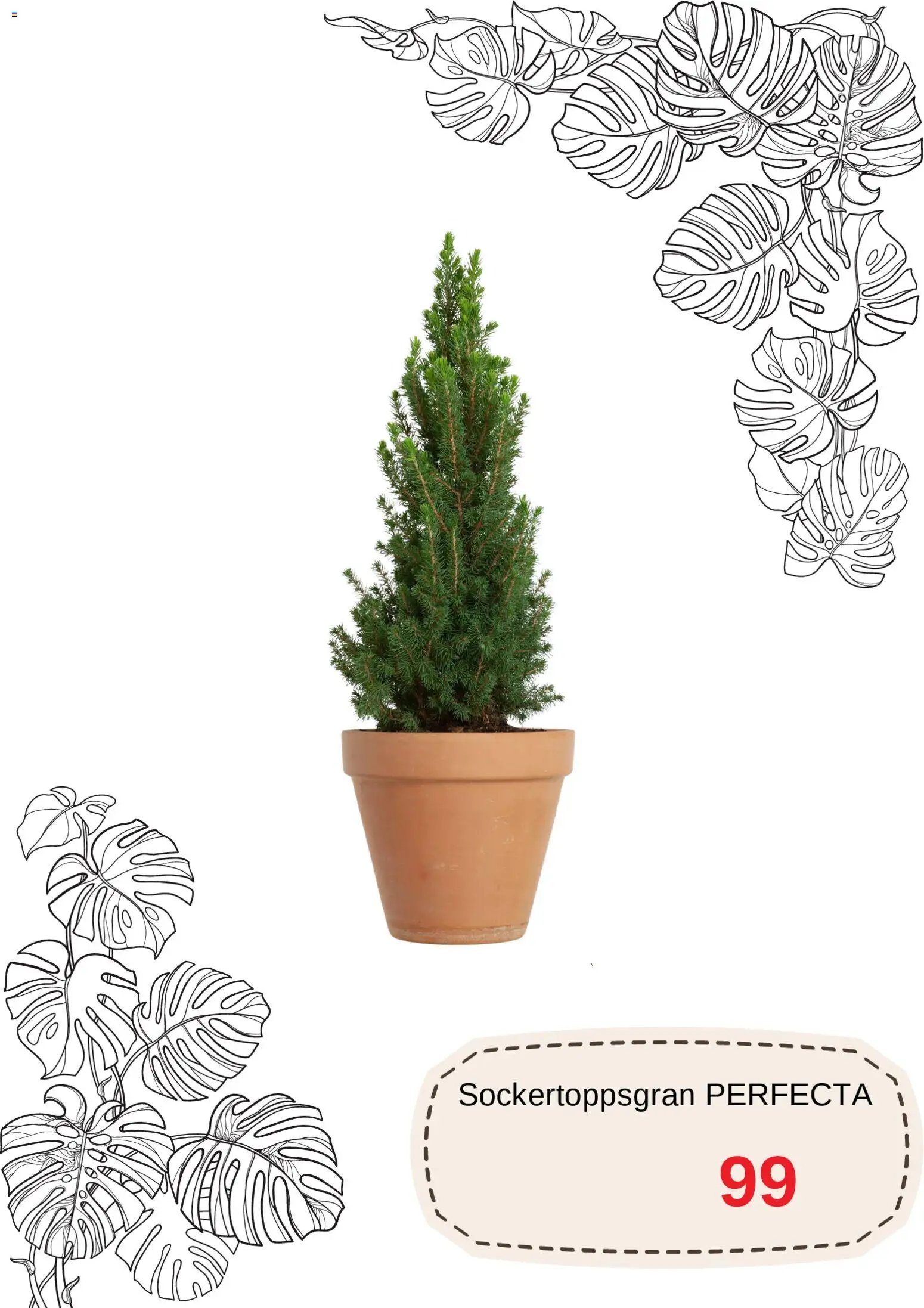 Blomsterlandet Reklamblad från 01/12/2025 Aktuella reklamblad Blomsterlandet