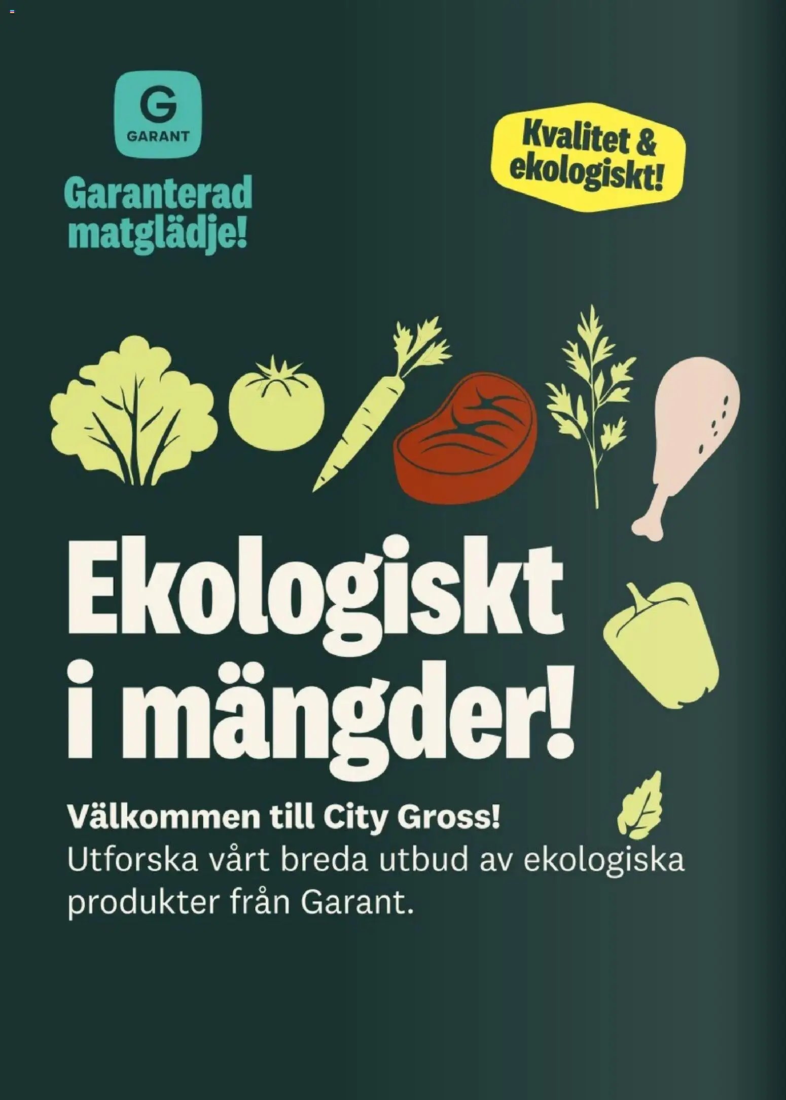 City Gross Reklamblad från 29/08/2026 City Gross erbjudanden