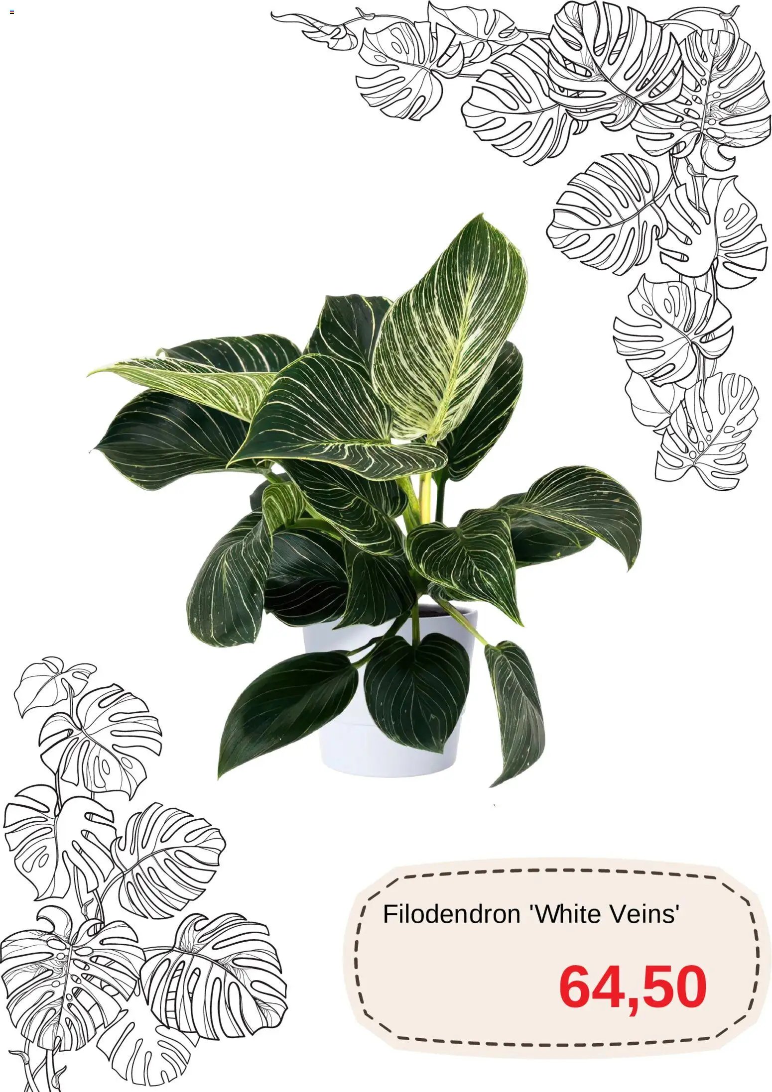 Blomsterlandet Reklamblad från 11/03/2026 Blomsterlandet erbjudanden