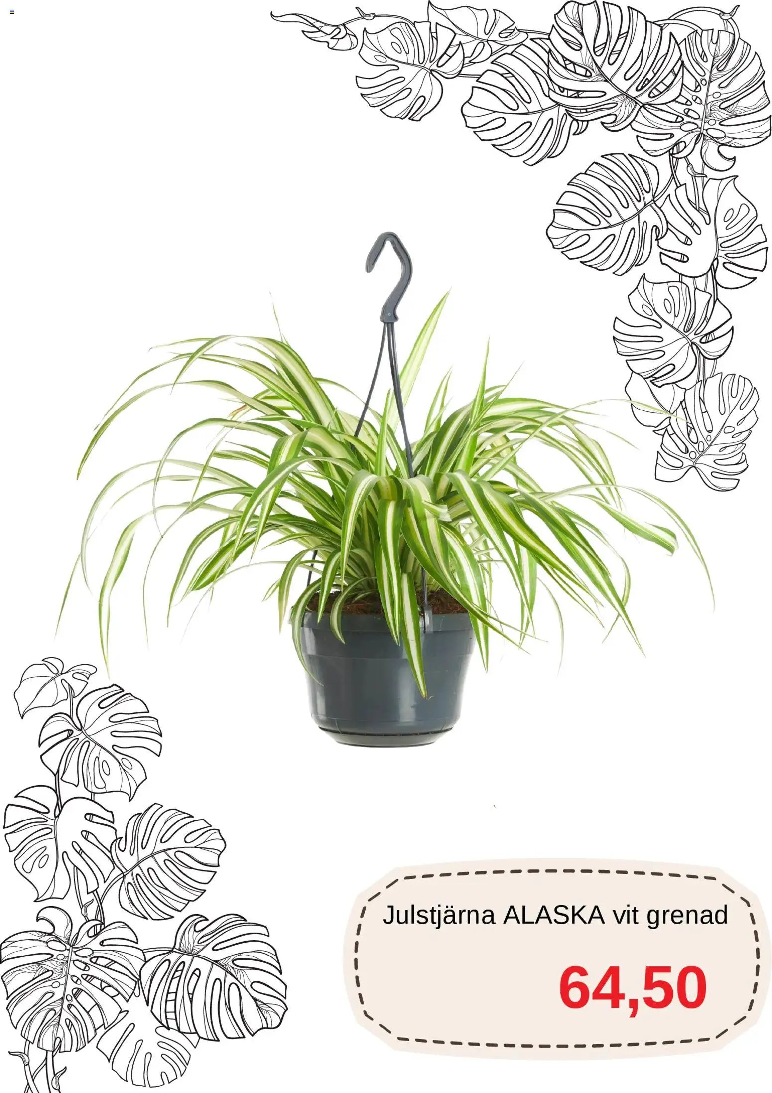 Blomsterlandet Reklamblad från 11/03/2026 Blomsterlandet erbjudanden