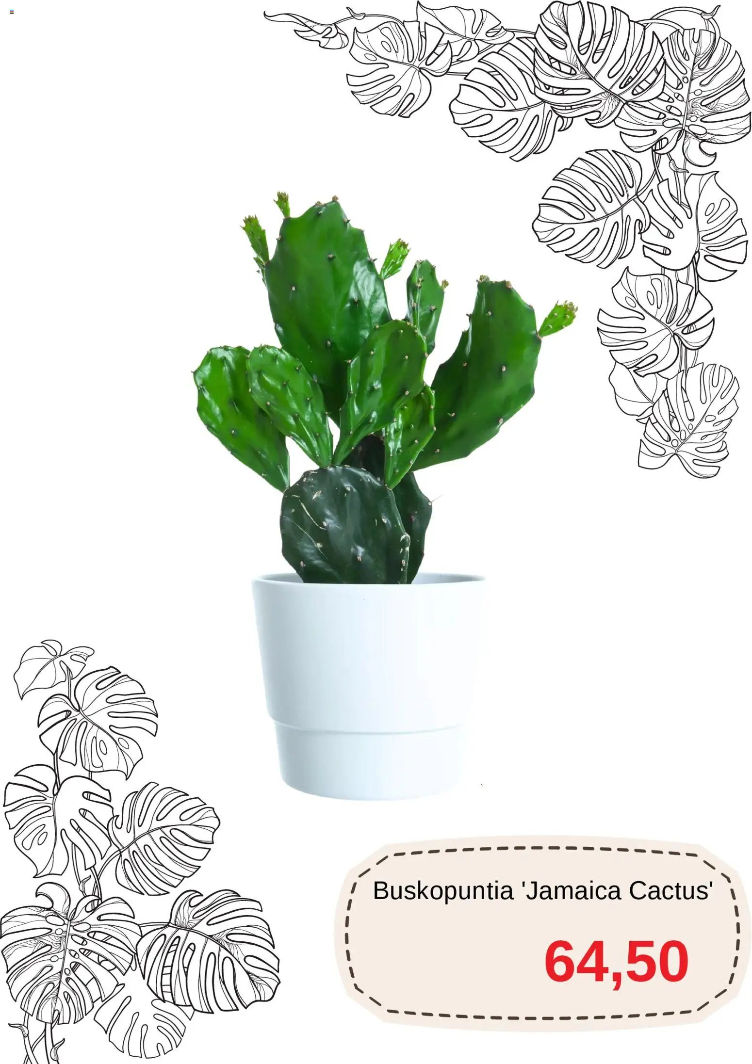 Blomsterlandet Reklamblad från 11/03/2026 Blomsterlandet erbjudanden