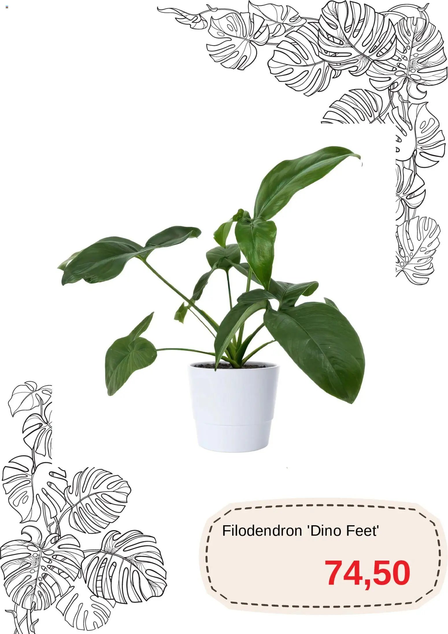 Blomsterlandet Reklamblad från 11/03/2026 Blomsterlandet erbjudanden