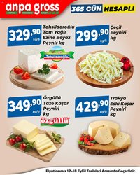 Anpa Gross tarihli katalog 12 0909 2025 Katalog