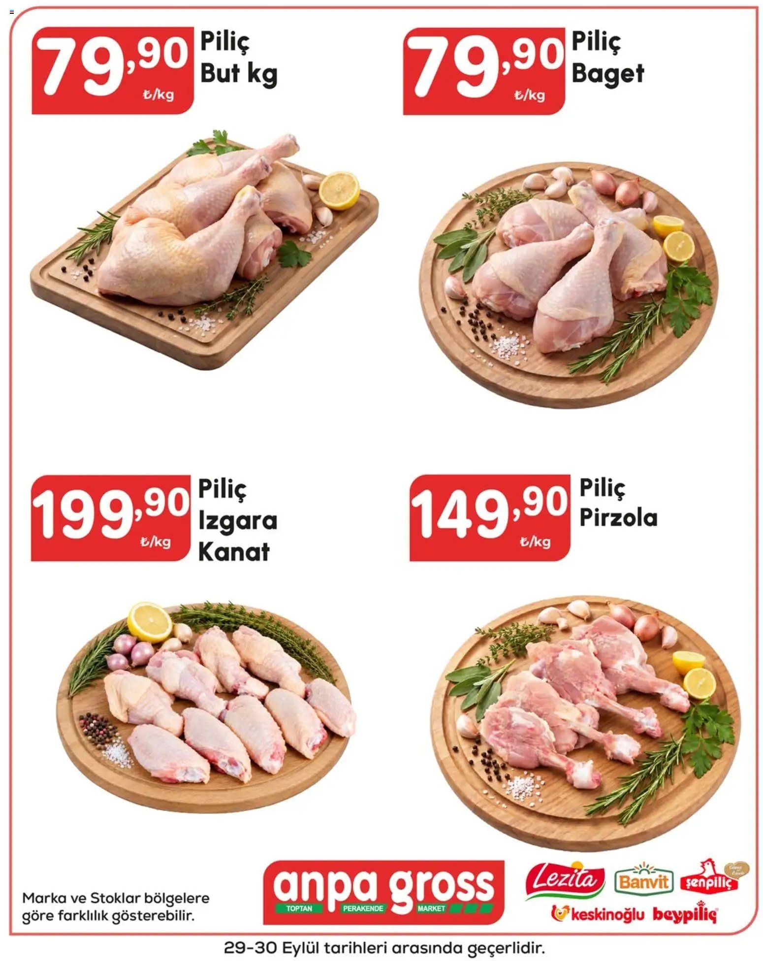 Anpa Gross tarihli katalog 29 0909 2026 Anpa Gross Katalog
