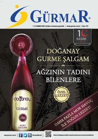 Gürmar tarihli katalog 01 1111 2025 Katalog