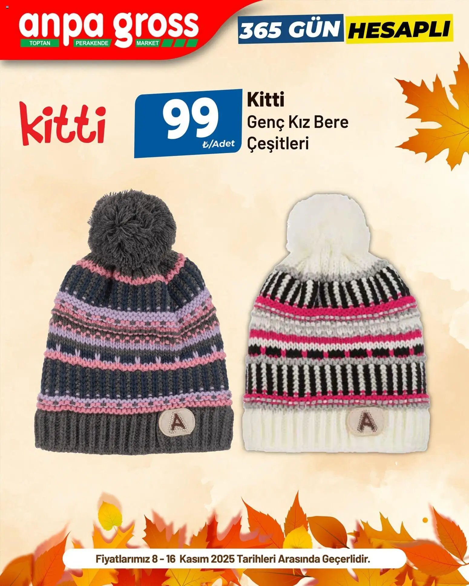 Anpa Gross tarihli katalog 08 1111 2025 İndirim Kitti bere