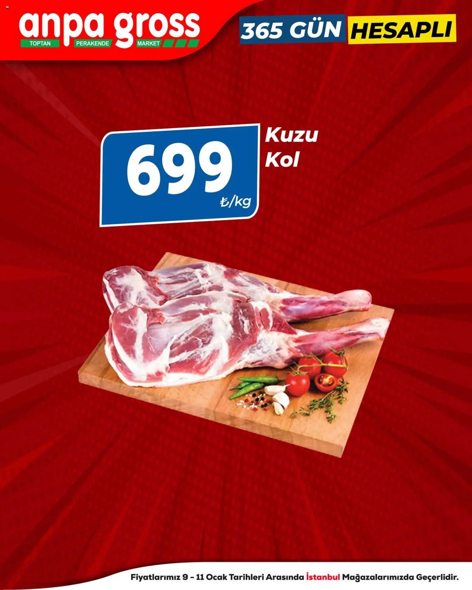 Anpa Gross tarihli katalog 09 0101 2026 Kasap