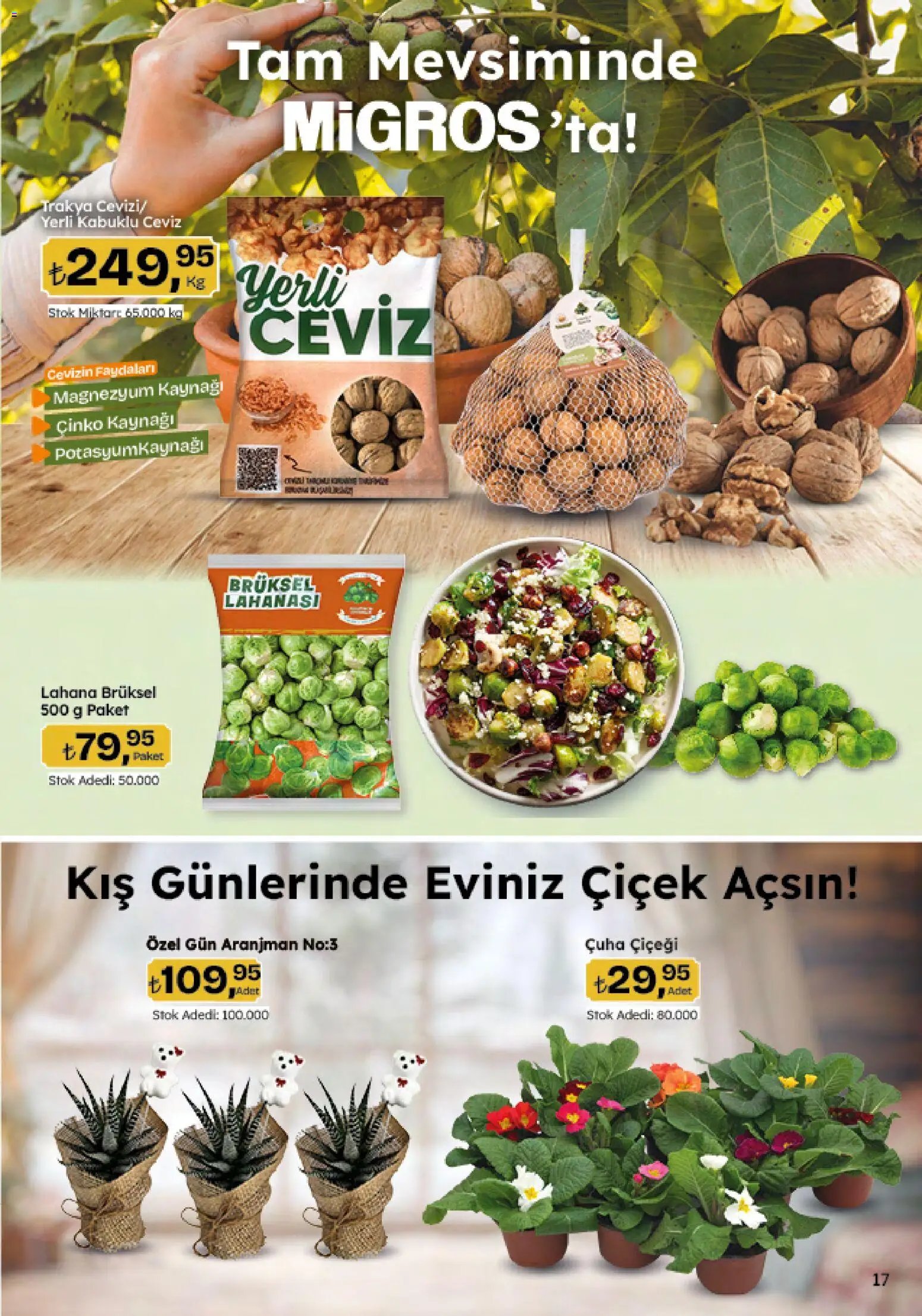 Migros tarihli katalog 08 0101 2026 5M Migroskop Dijital