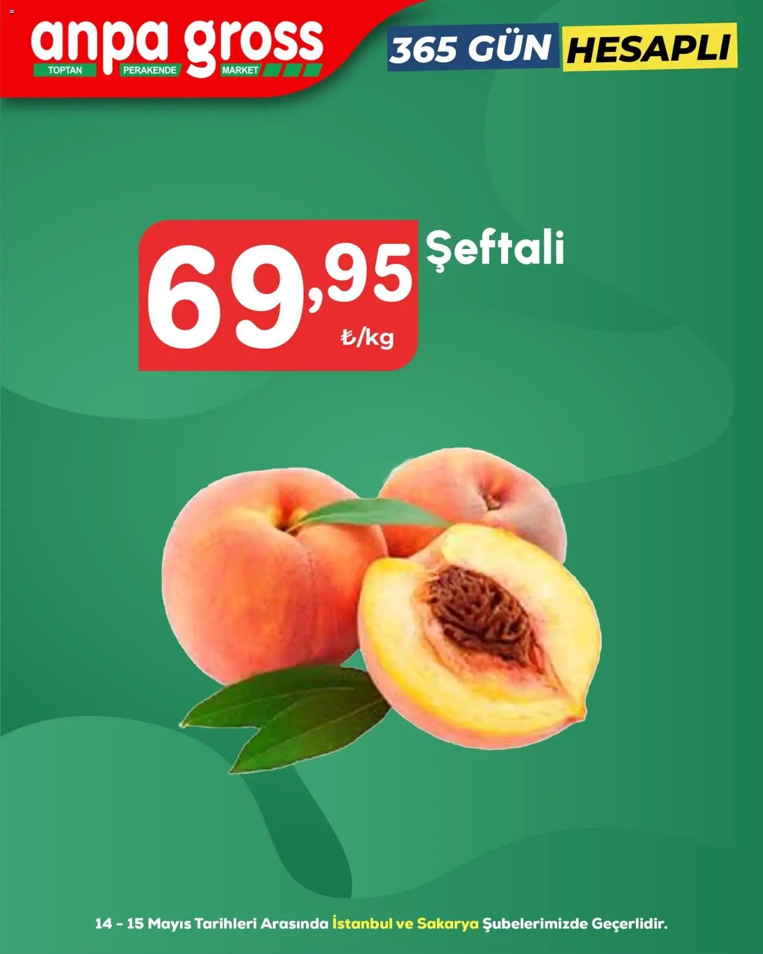 Anpa Gross tarihli katalog 14 0505 2026 Anpa Gross Katalog