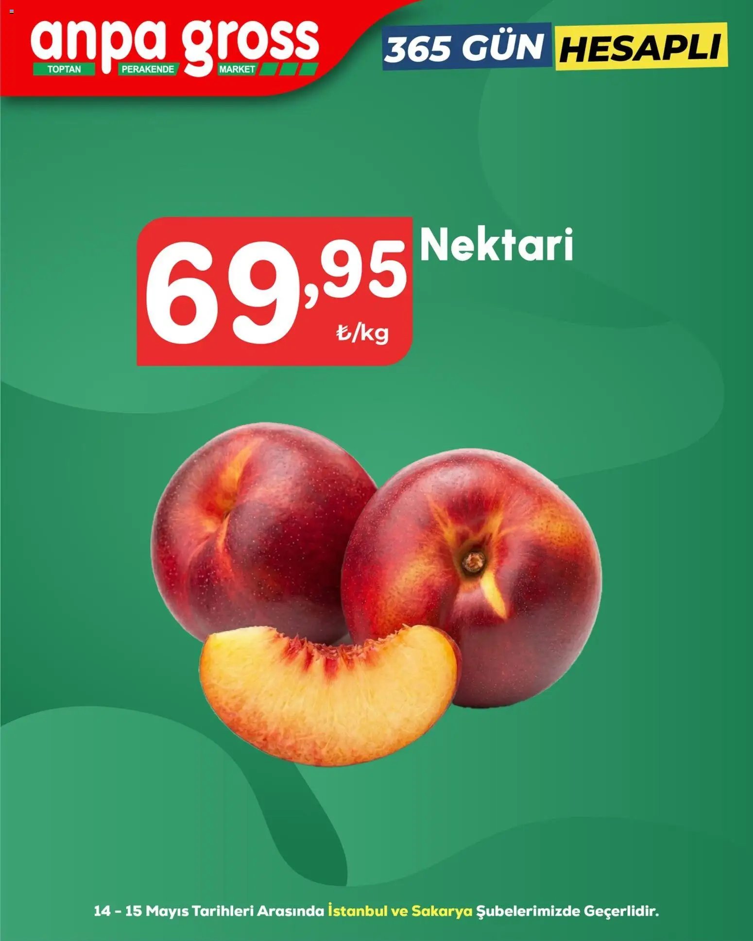 Anpa Gross tarihli katalog 14 0505 2026 Anpa Gross Katalog