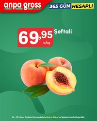 Anpa Gross tarihli katalog 14 0505 2026 Anpa Gross Katalog