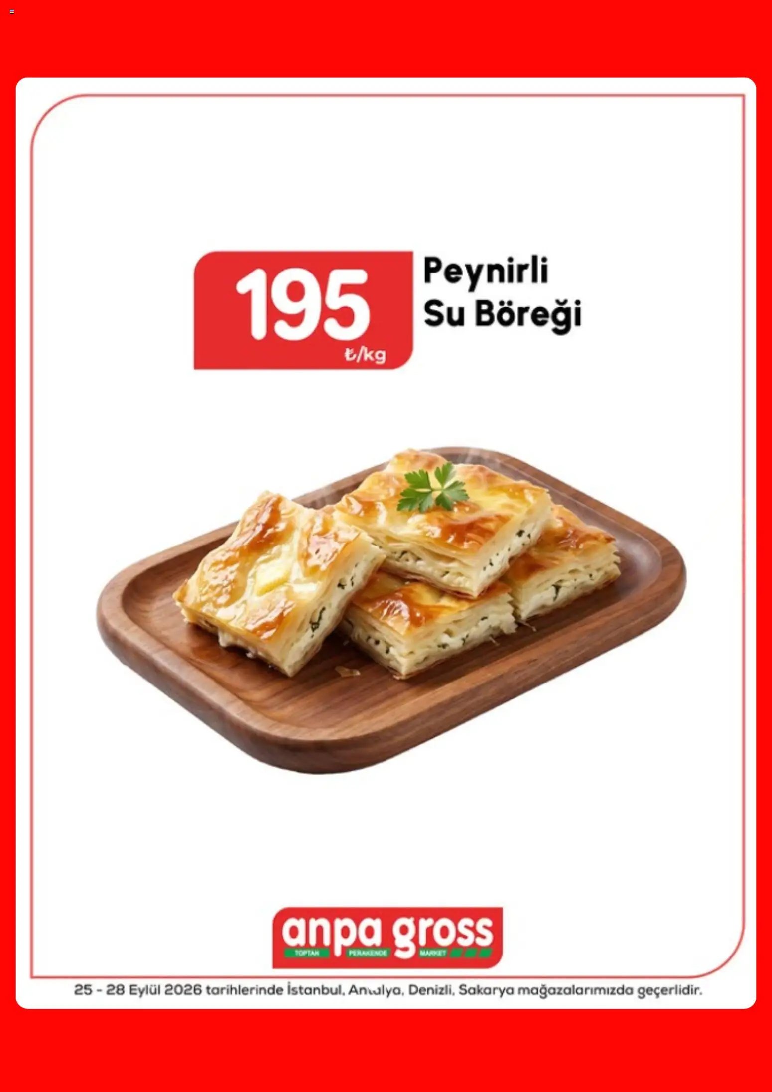 Anpa Gross tarihli katalog 25 0909 2026 Anpa Gross Katalog