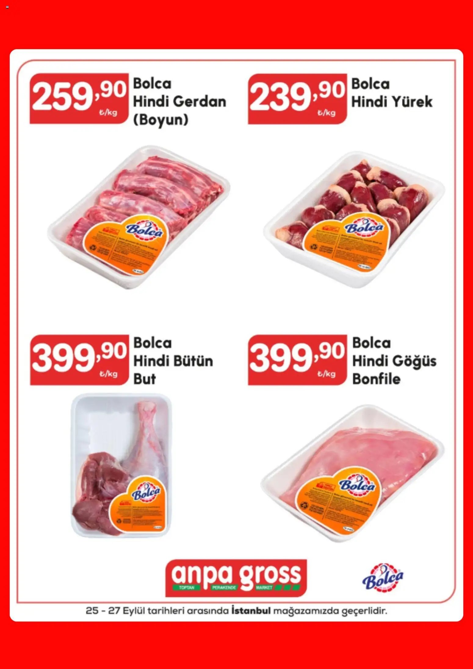 Anpa Gross tarihli katalog 25 0909 2026 Anpa Gross Katalog