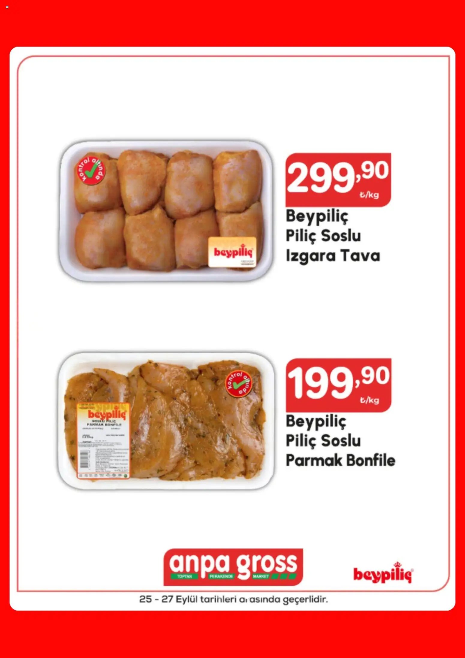 Anpa Gross tarihli katalog 25 0909 2026 Anpa Gross Katalog