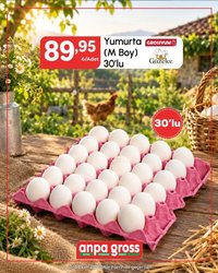 Anpa Gross tarihli katalog 02 1010 2026 Anpa Gross Katalog