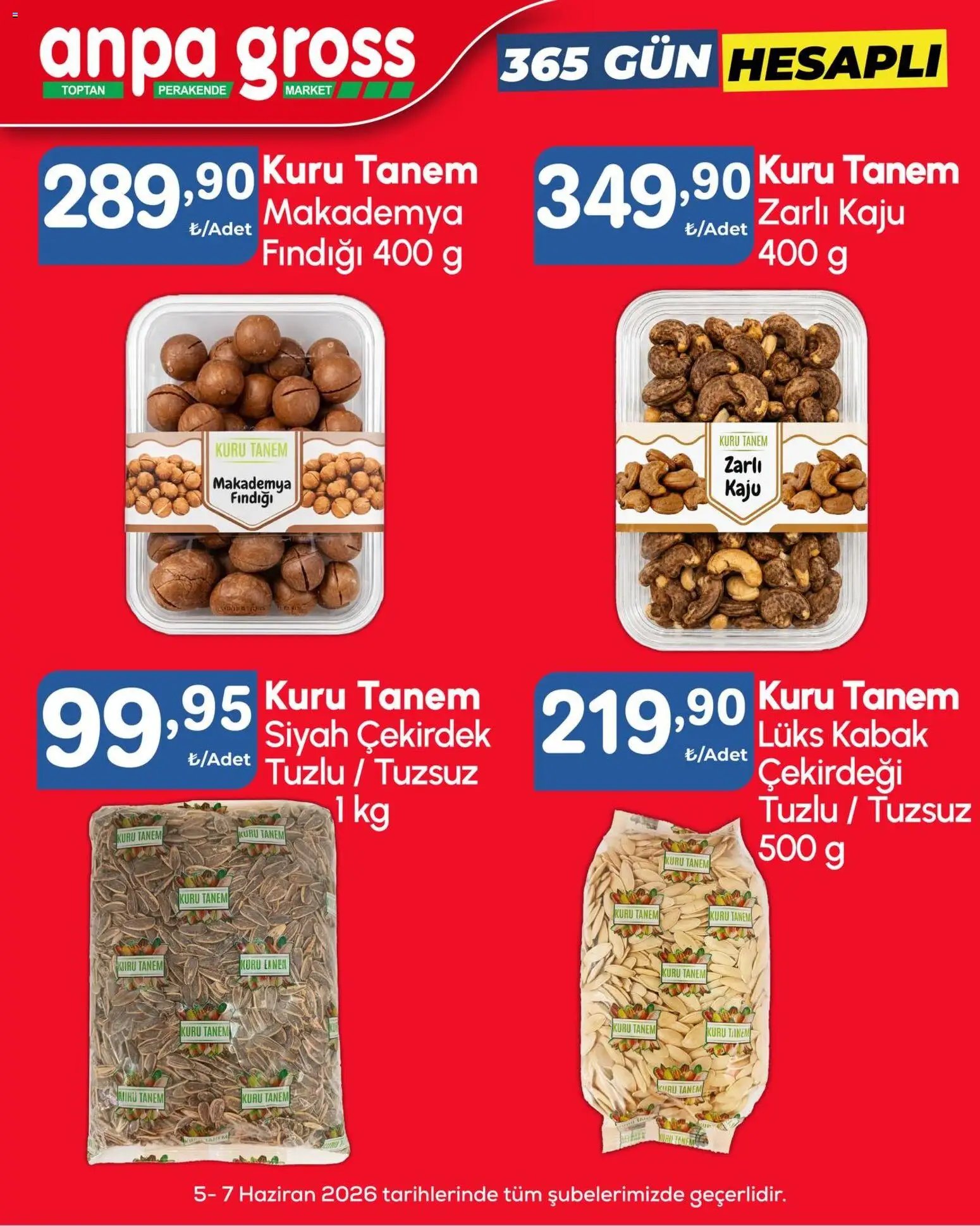 Anpa Gross tarihli katalog 05 0606 2026 Anpa Gross Katalog