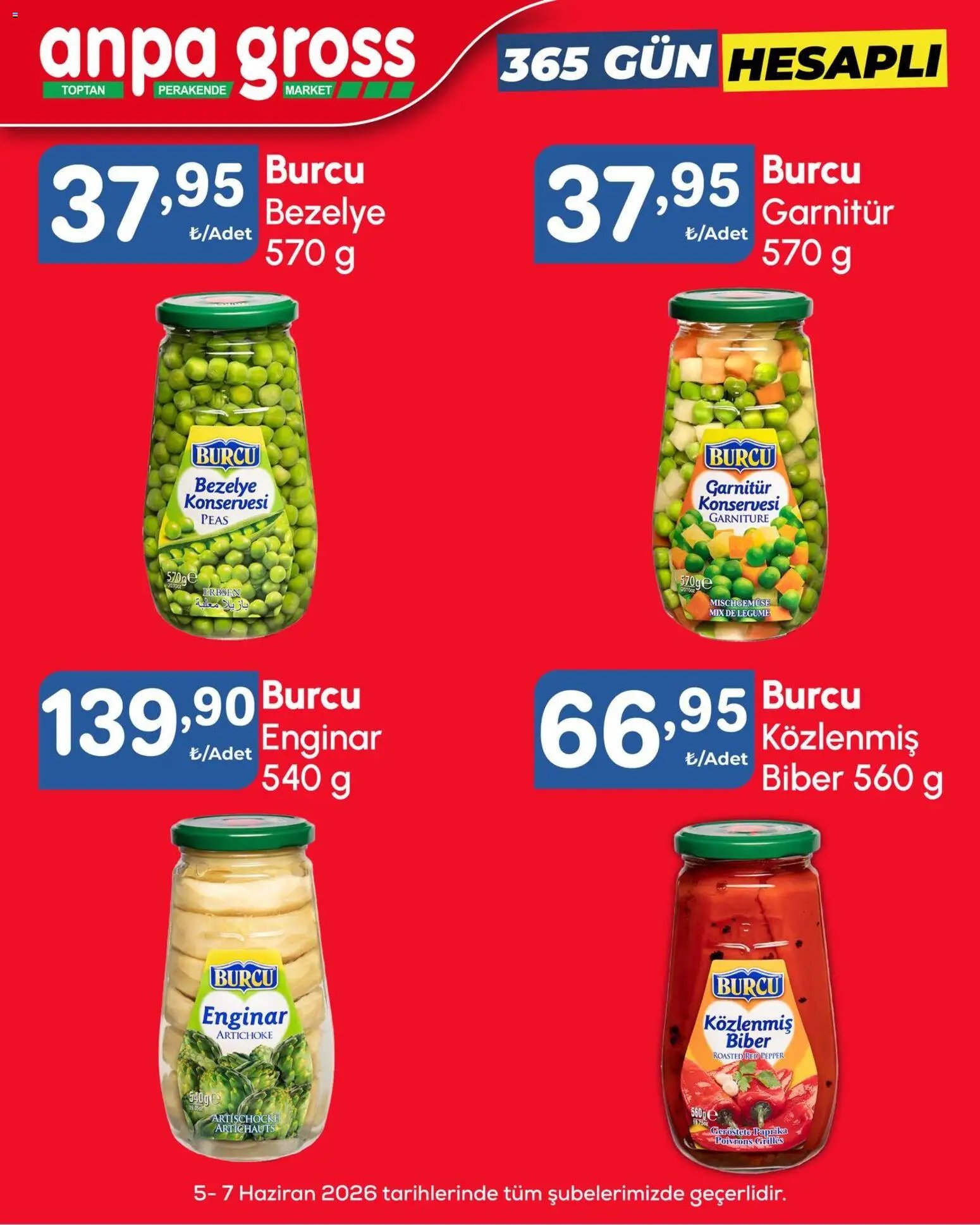Anpa Gross tarihli katalog 05 0606 2026 Anpa Gross Katalog