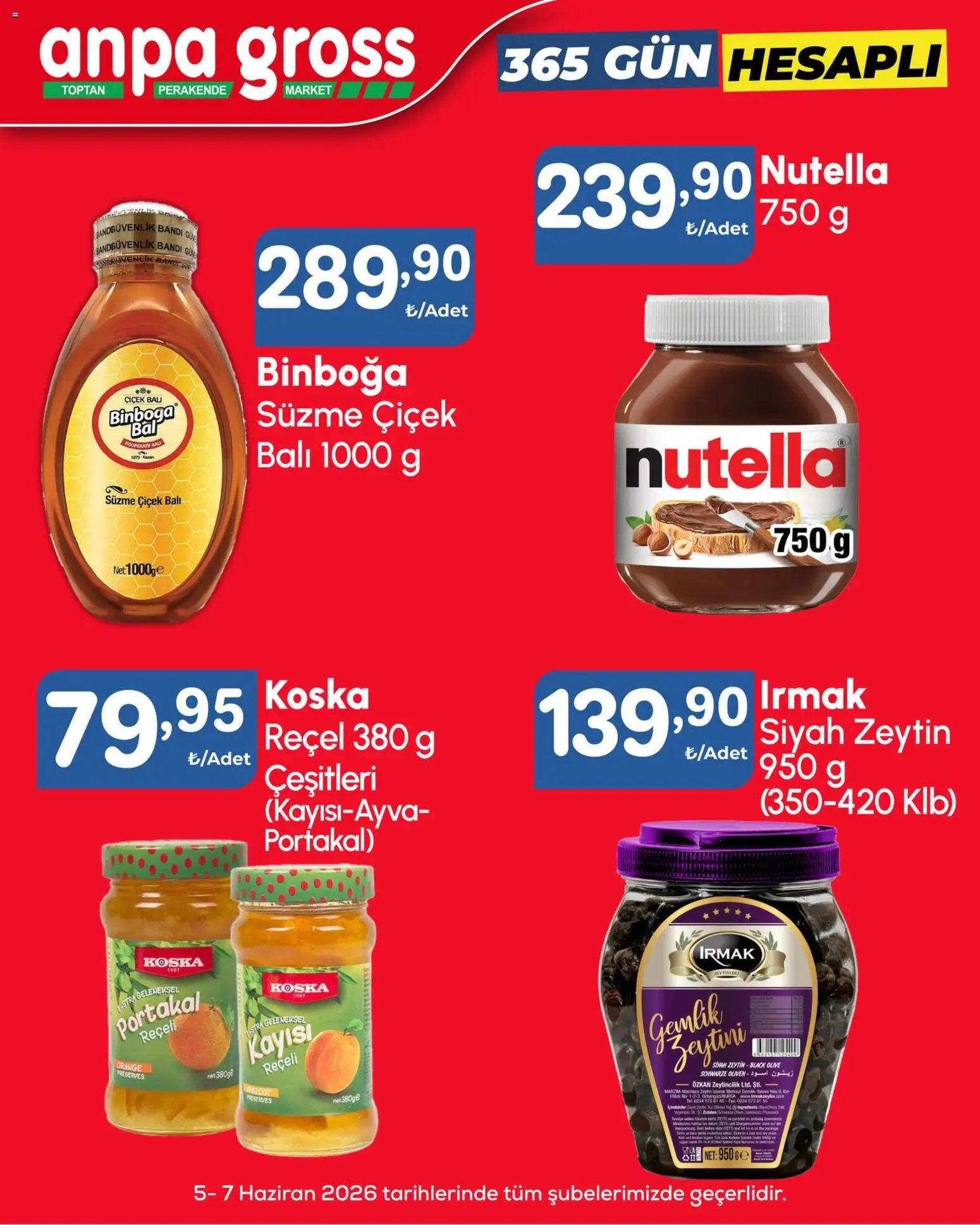Anpa Gross tarihli katalog 05 0606 2026 Anpa Gross Katalog