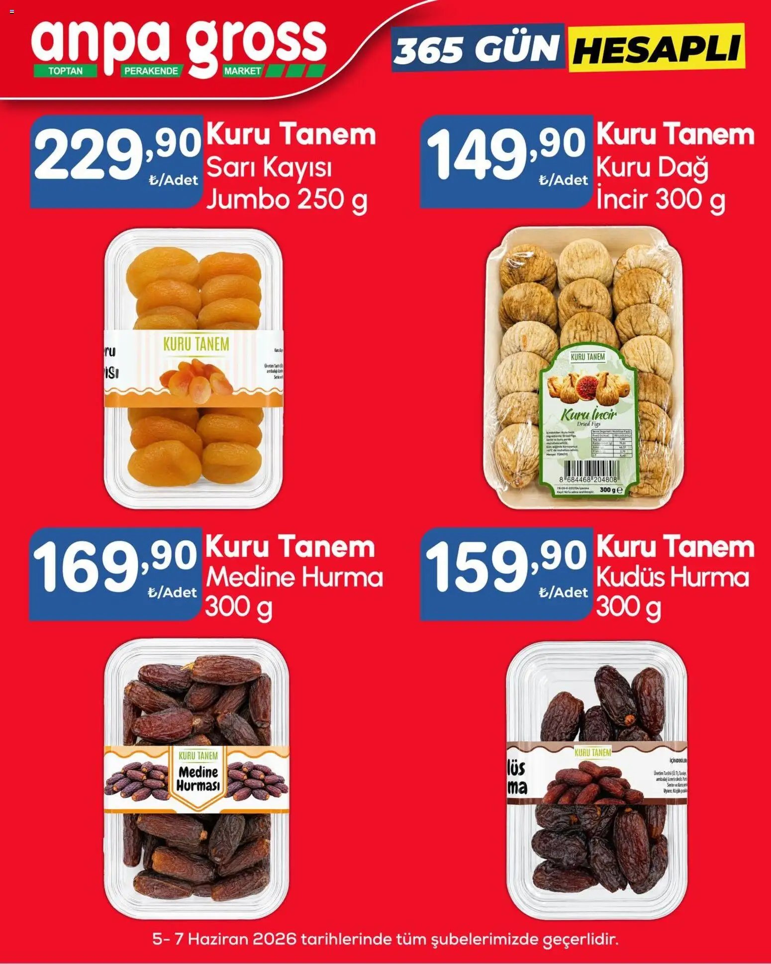 Anpa Gross tarihli katalog 05 0606 2026 Anpa Gross Katalog
