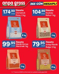 Anpa Gross tarihli katalog 05 0606 2026 Anpa Gross Katalog