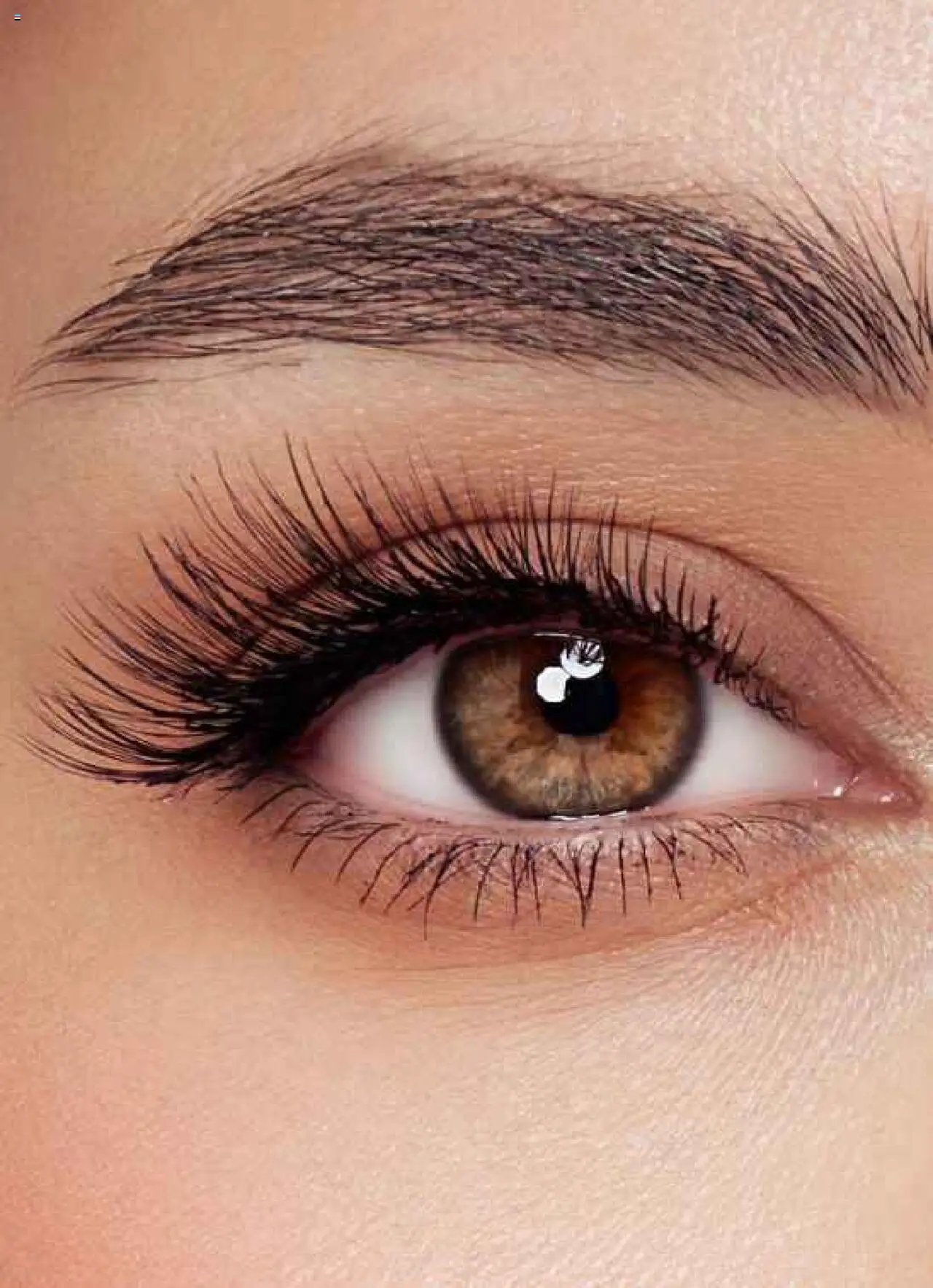 Farmasi tarihli katalog 01 0808 2025 Katalog