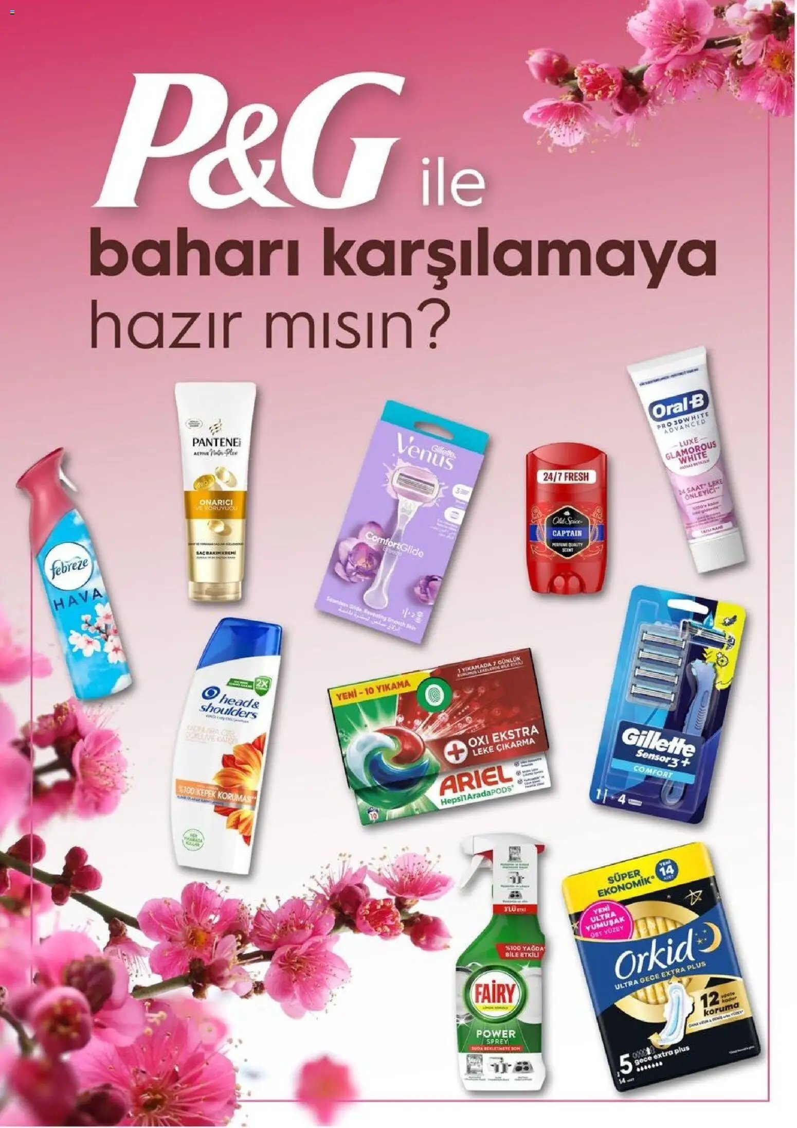 Gratis tarihli katalog 01 0404 2026 Gratis Katalog